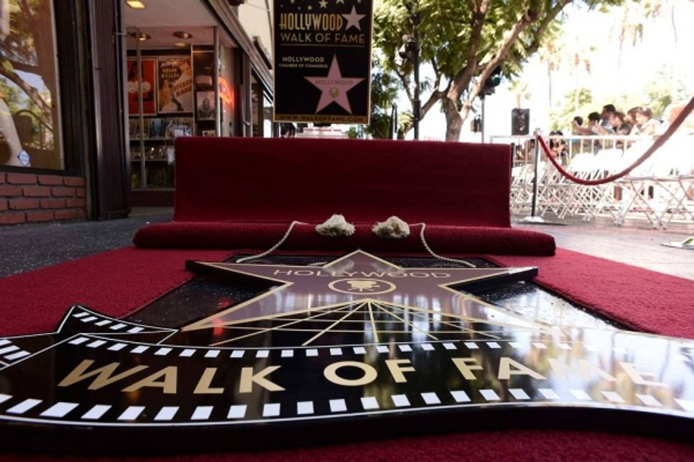 Photo Flash: GLEE's Jane Lynch Receives Star on Hollywood Walk of Fame  Image