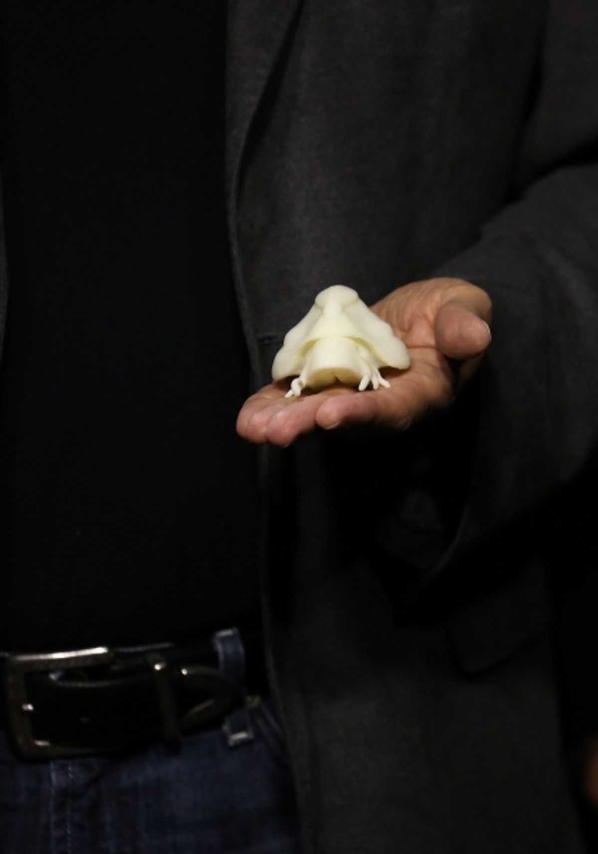 David Cronenberg  at 