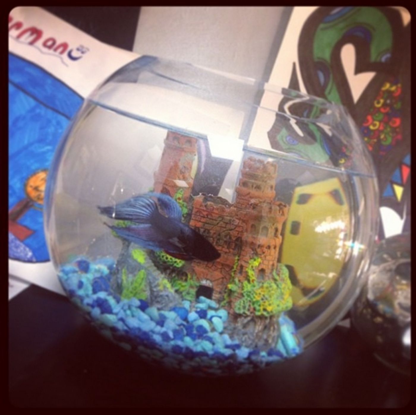 Photo Flash: Saturday Intermission Pics, September 7 - Part 2 - EVITA National Tour Posts First SIP; Plus MATILDA's Jill Paice, Laura Osnes & More!  Image