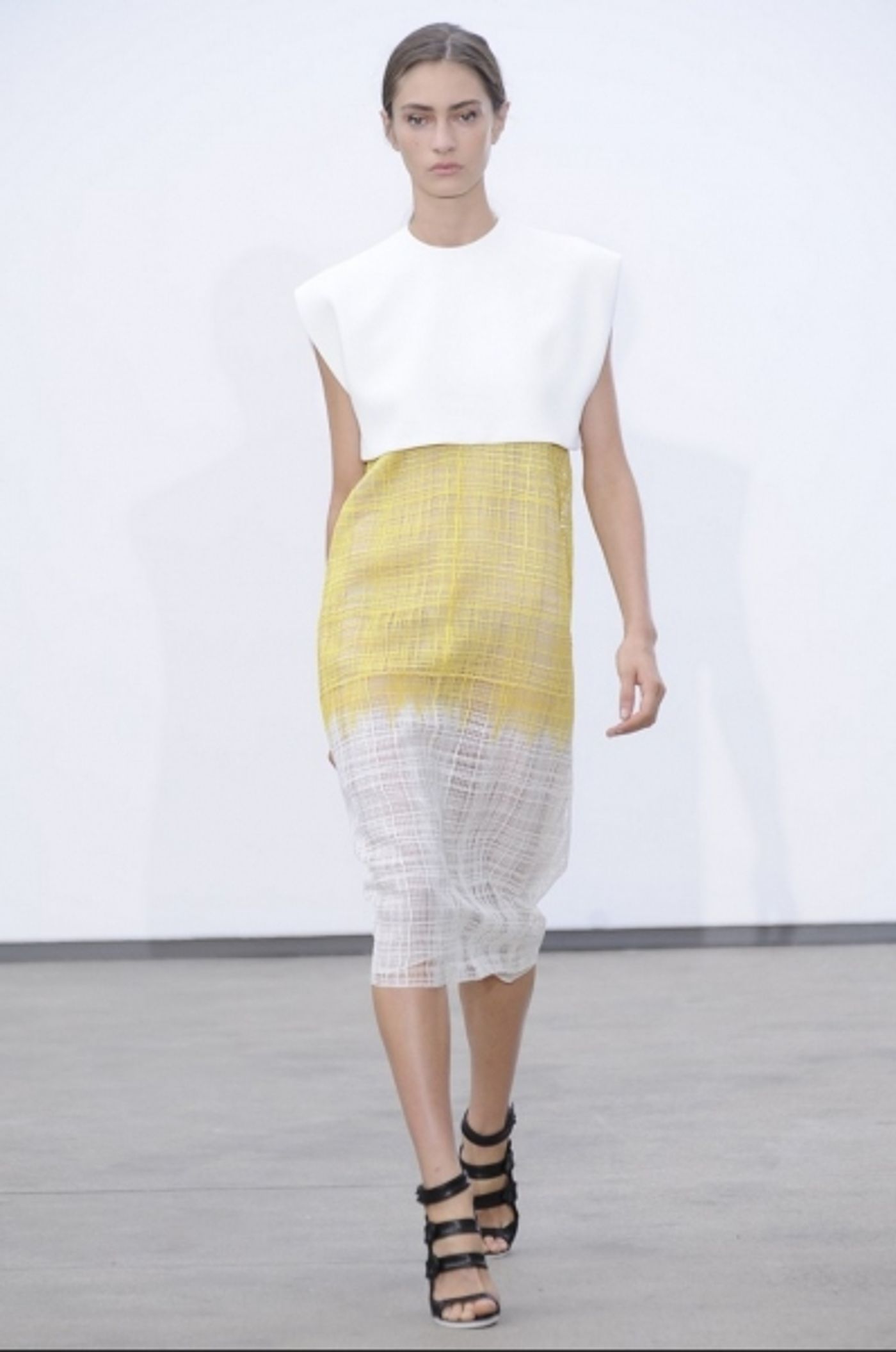 Photo Coverage: Derek Lam S/S 2014 Collection Preview Image