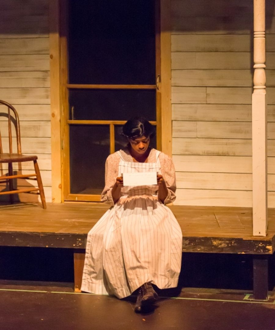 Photo Flash: First Look at South Bend Civic Theatre's THE COLOR PURPLE Image