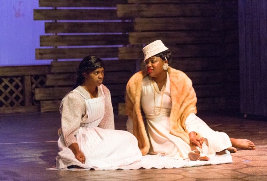 Photo Flash: First Look at South Bend Civic Theatre's THE COLOR PURPLE Image