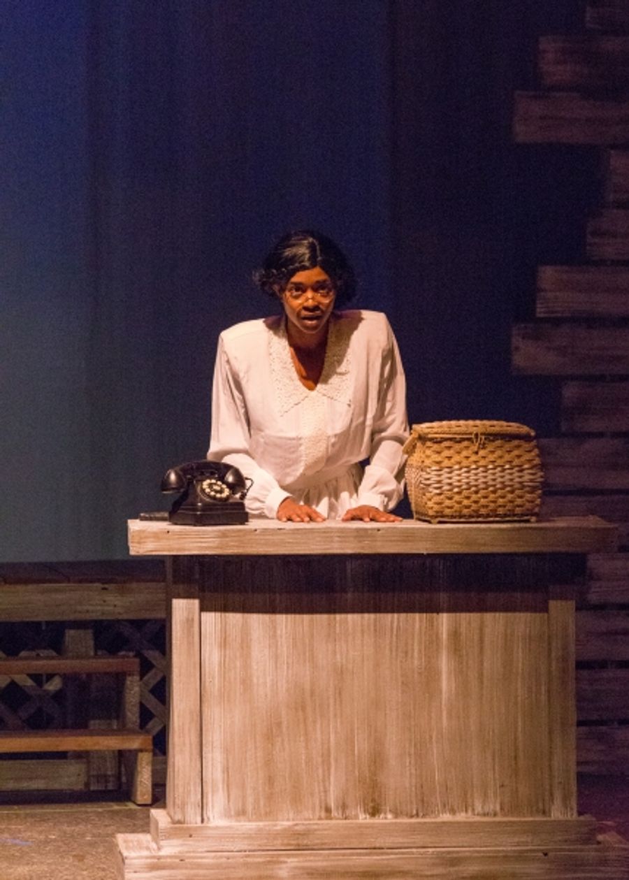Photo Flash: First Look at South Bend Civic Theatre's THE COLOR PURPLE Image