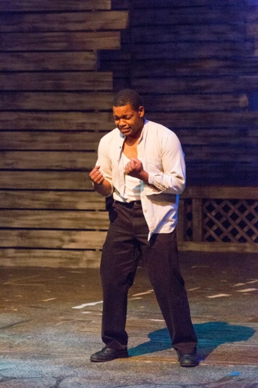 Photo Flash: First Look at South Bend Civic Theatre's THE COLOR PURPLE Image