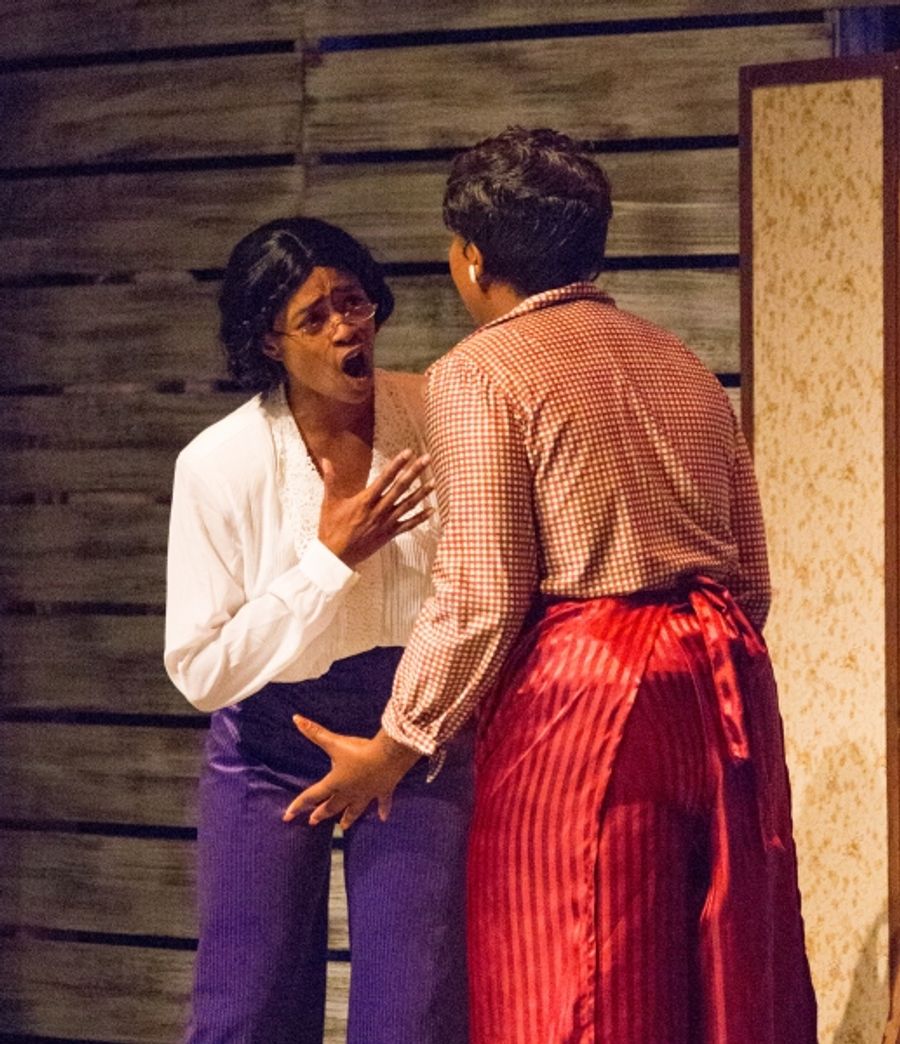 Photo Flash: First Look at South Bend Civic Theatre's THE COLOR PURPLE Image