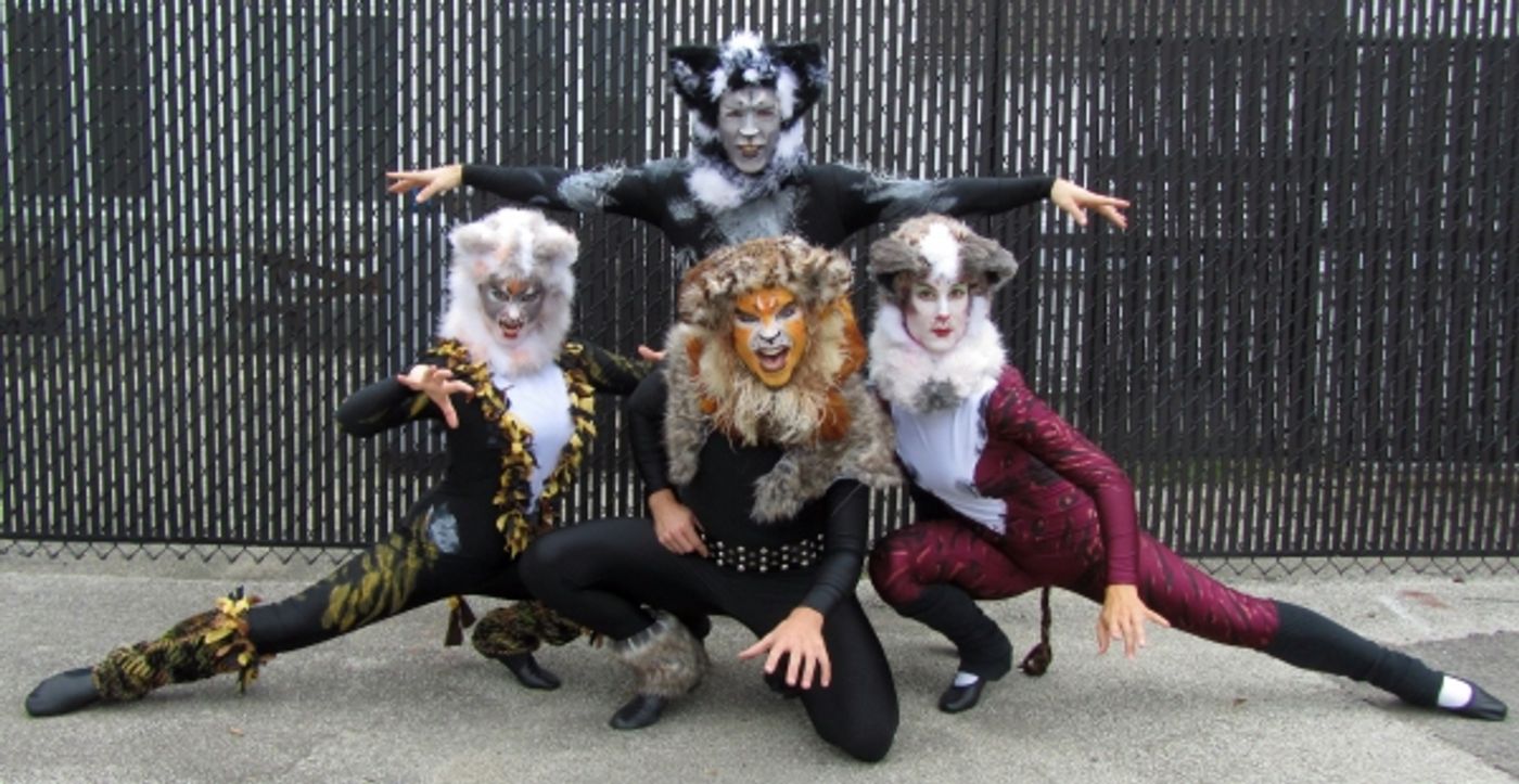 Photo Flash: Promo Shots for Highland Park Players' CATS, Begin. 10/4  Image