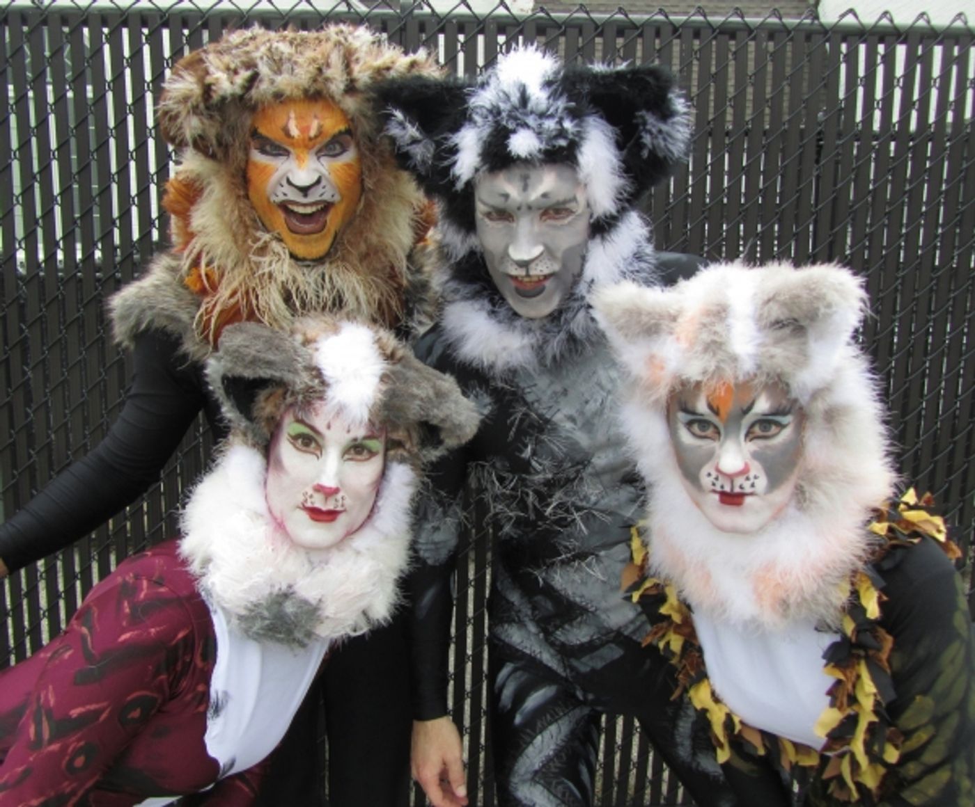 Photo Flash: Promo Shots for Highland Park Players' CATS, Begin. 10/4  Image