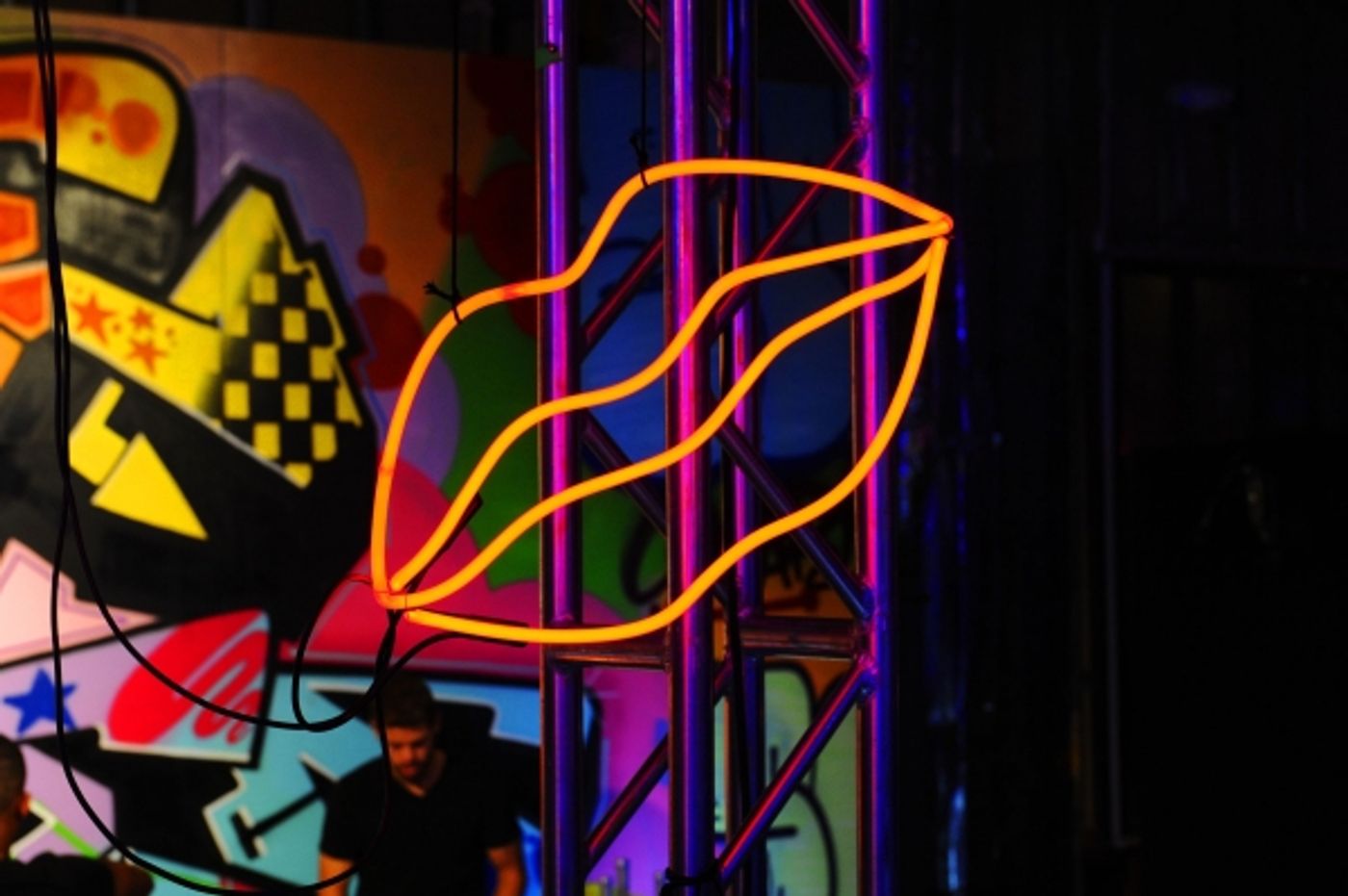 Photo Flash: Bernadette Peters, Emmy Rossum, Donna Karan and More at DKNY25 Birthday Bash  Image