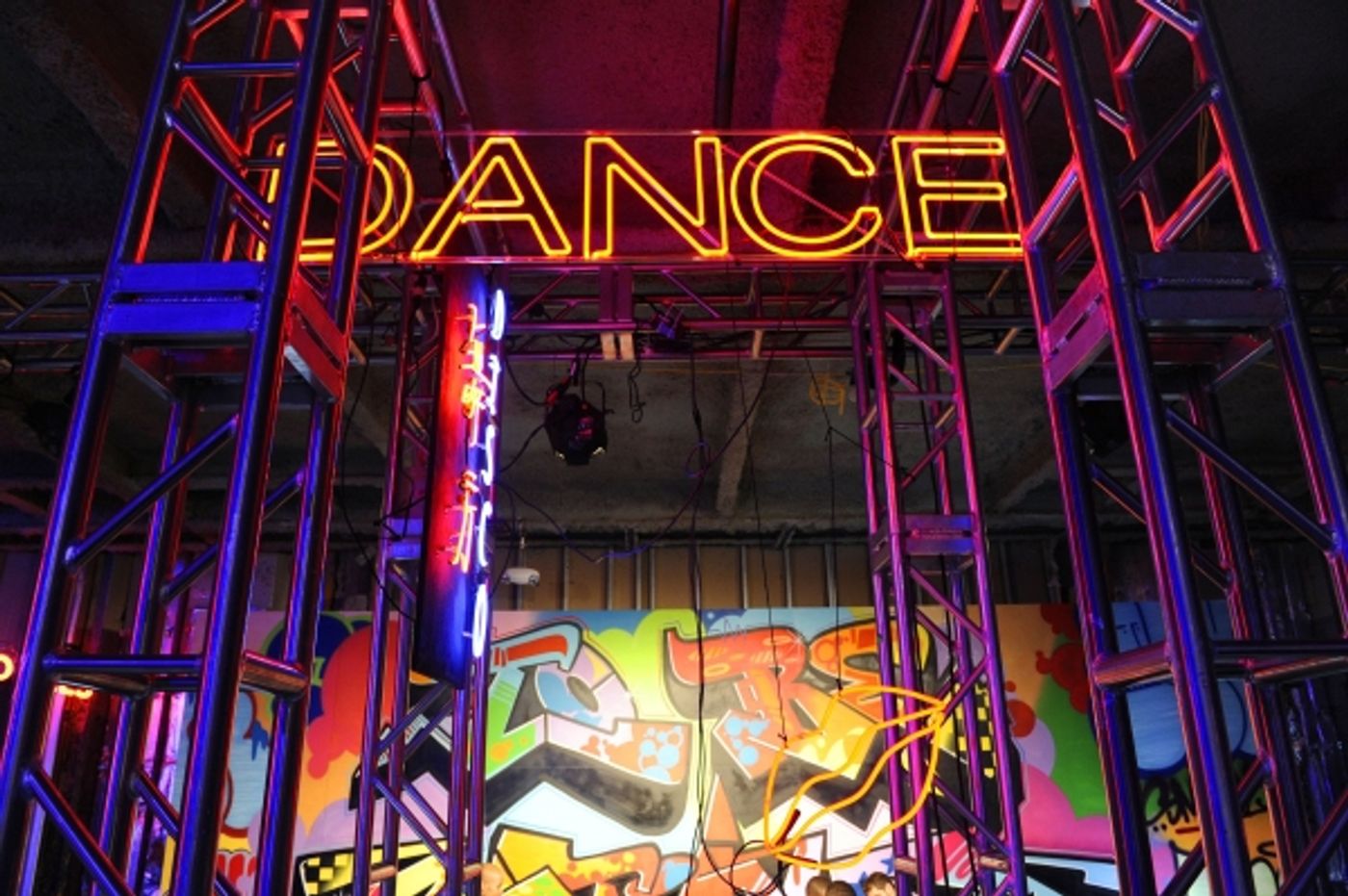 Photo Flash: Bernadette Peters, Emmy Rossum, Donna Karan and More at DKNY25 Birthday Bash  Image