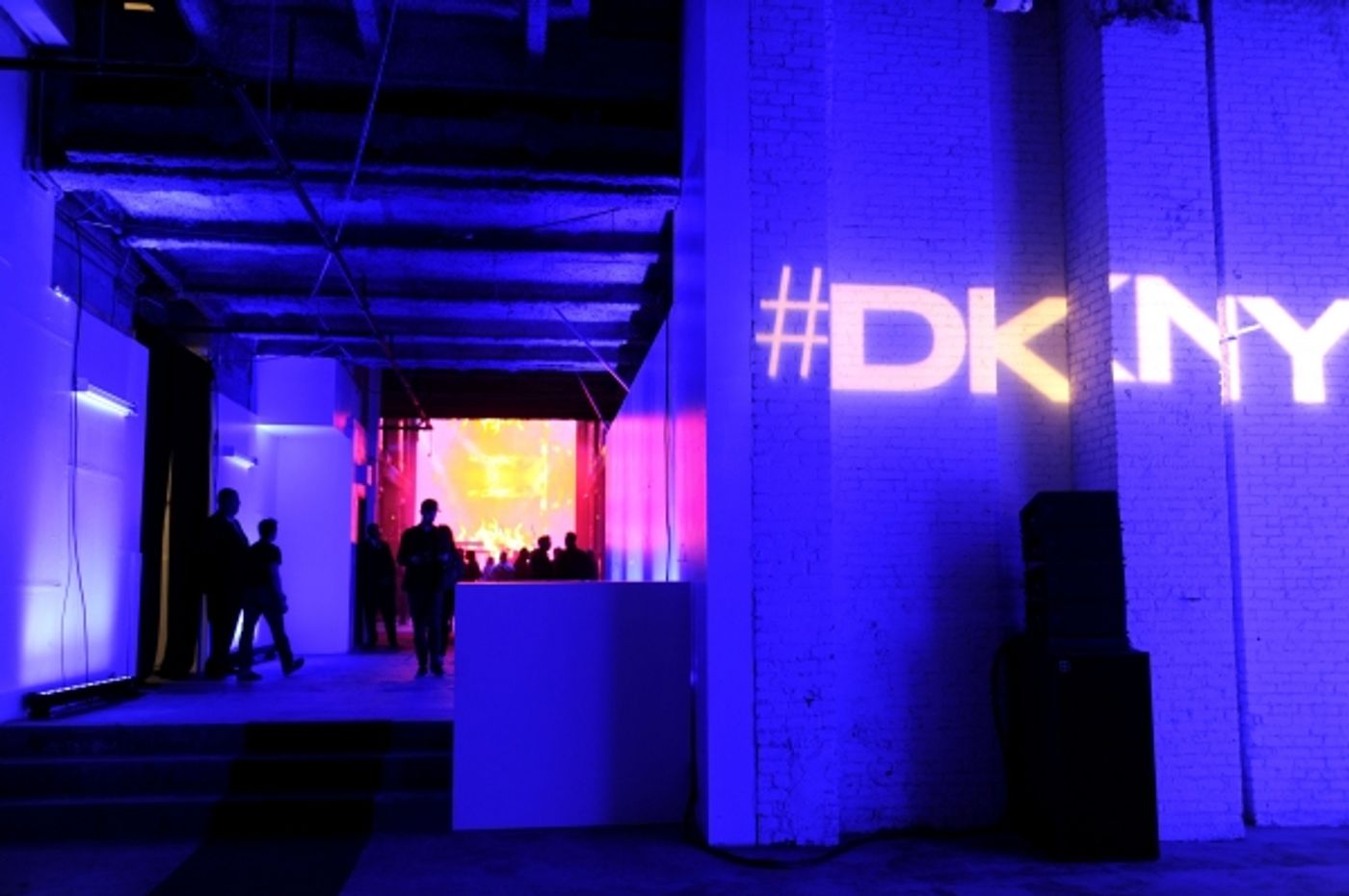 Photo Flash: Bernadette Peters, Emmy Rossum, Donna Karan and More at DKNY25 Birthday Bash  Image