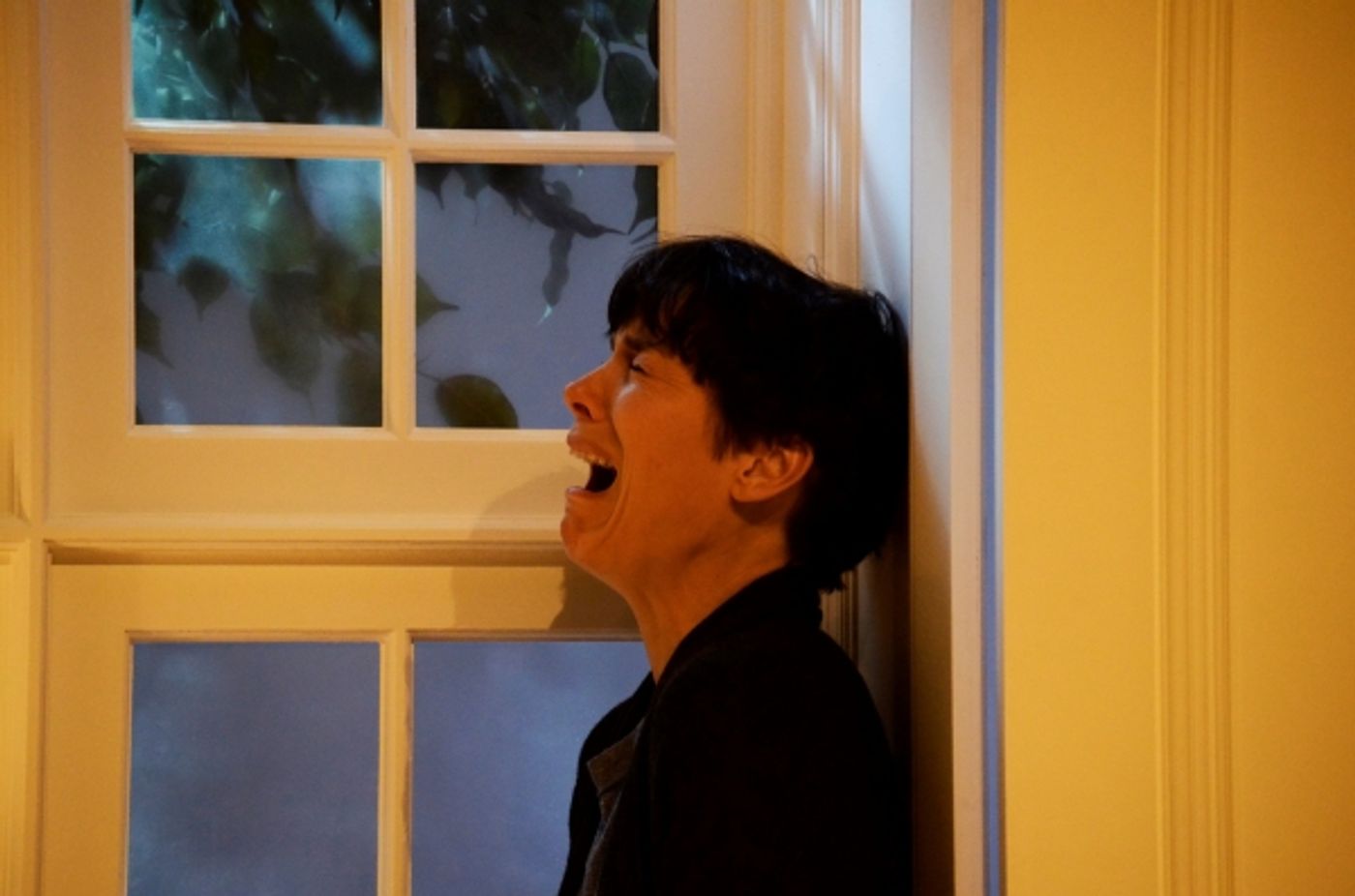 Photo Flash: First Look - SCENES FROM A MARRIAGE at St. James Theatre, Now Playing  Image