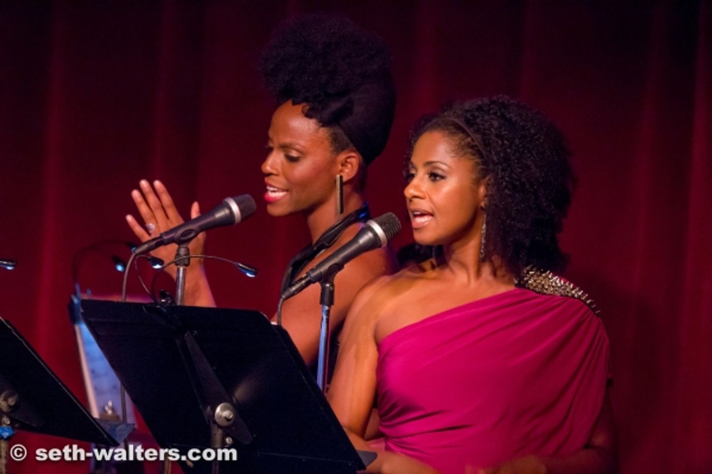 Photo Flash: Tonya Pinkins, N'Kenge and More at POP SHOW's Michael Jackson Tribute  Image