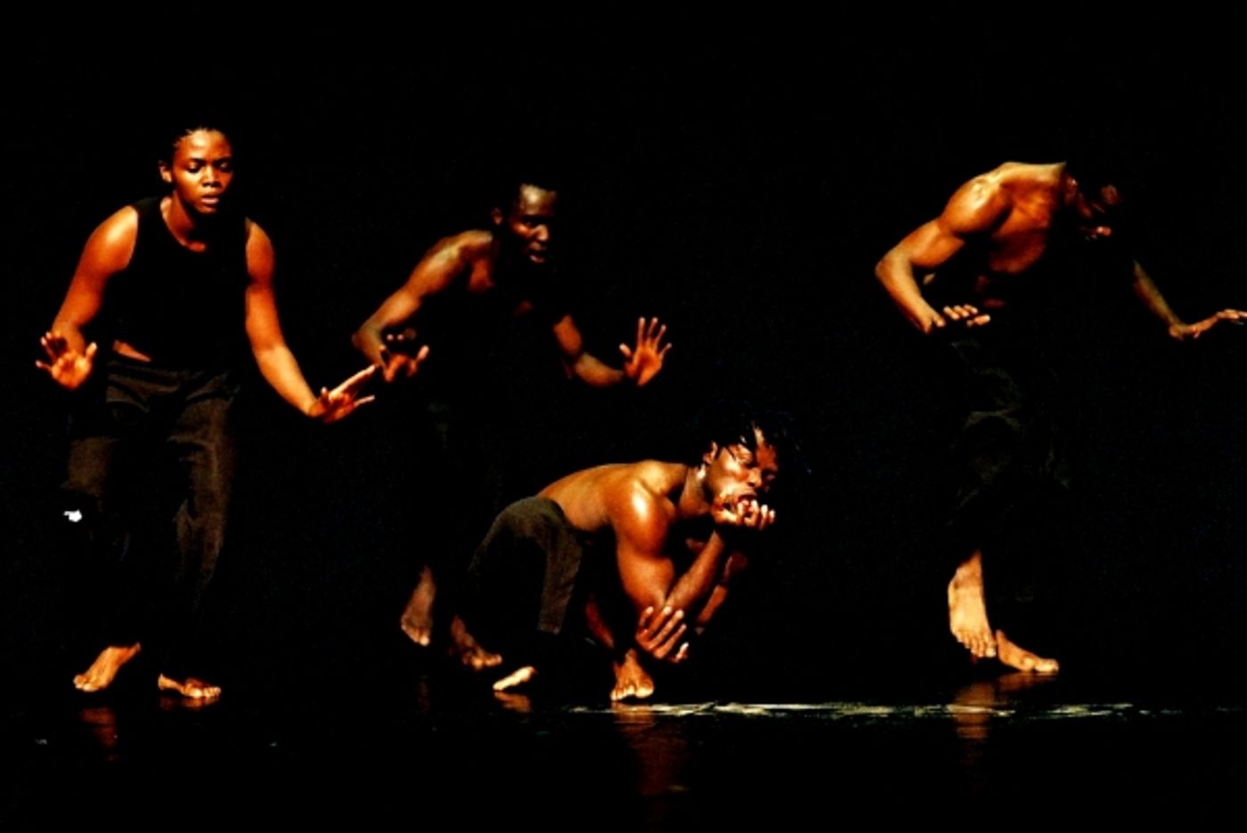 Photo Flash: Sneak Peek - African Creativity Under the Spotlight at ACEC 2013 Image