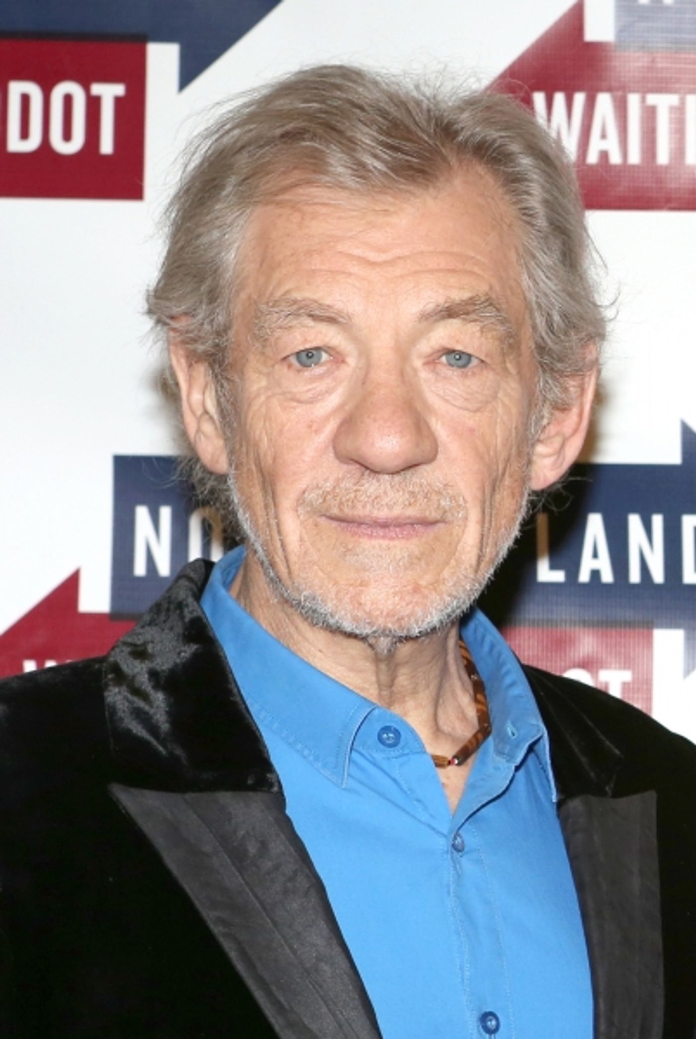 Photo Coverage: Cast of WAITING FOR GODOT and NO MAN'S LAND Meets the Press - McKellen, Stewart & More!  Image