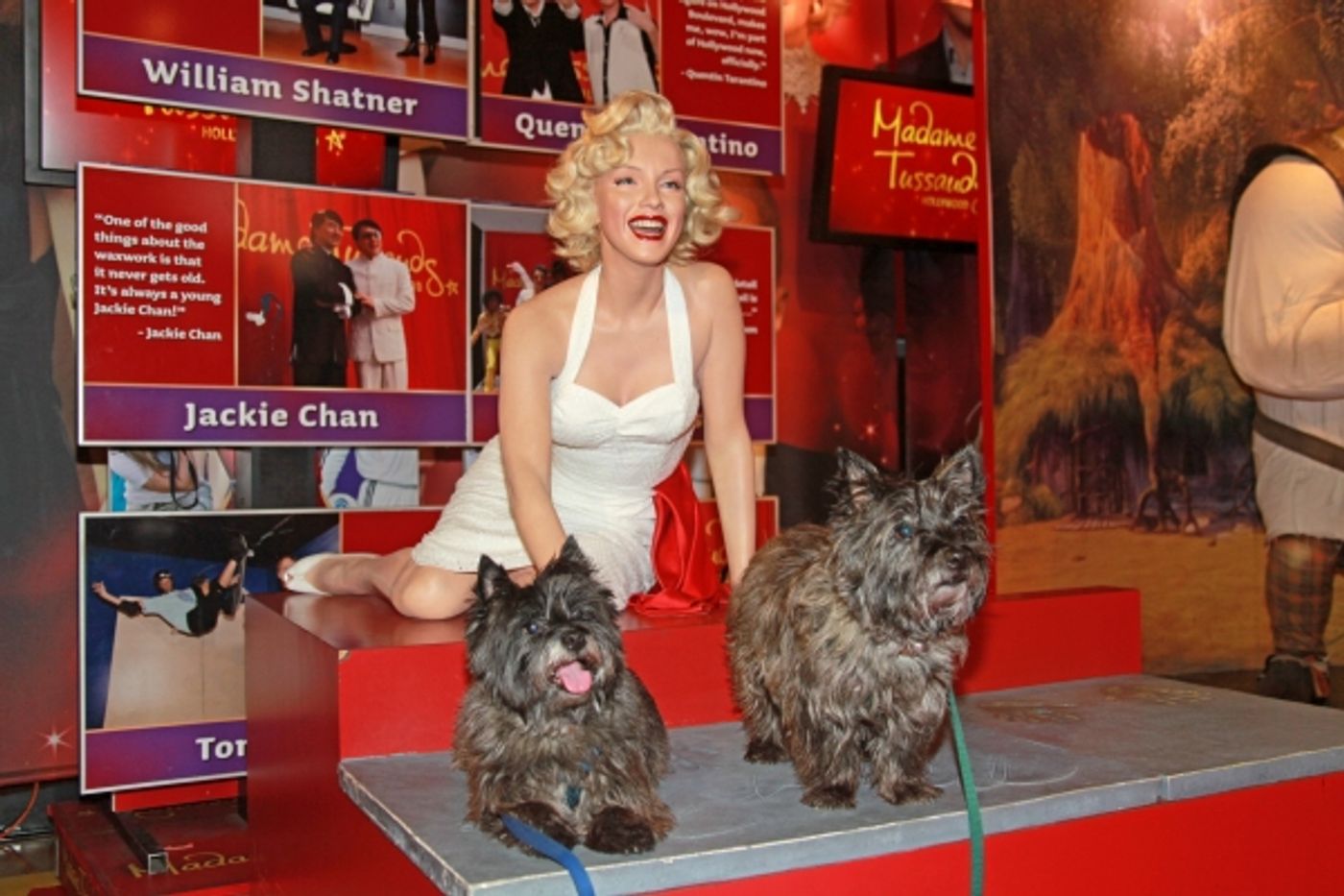 Photo Flash: THE WIZARD OF OZ Celebrates Opening at the Pantages Image