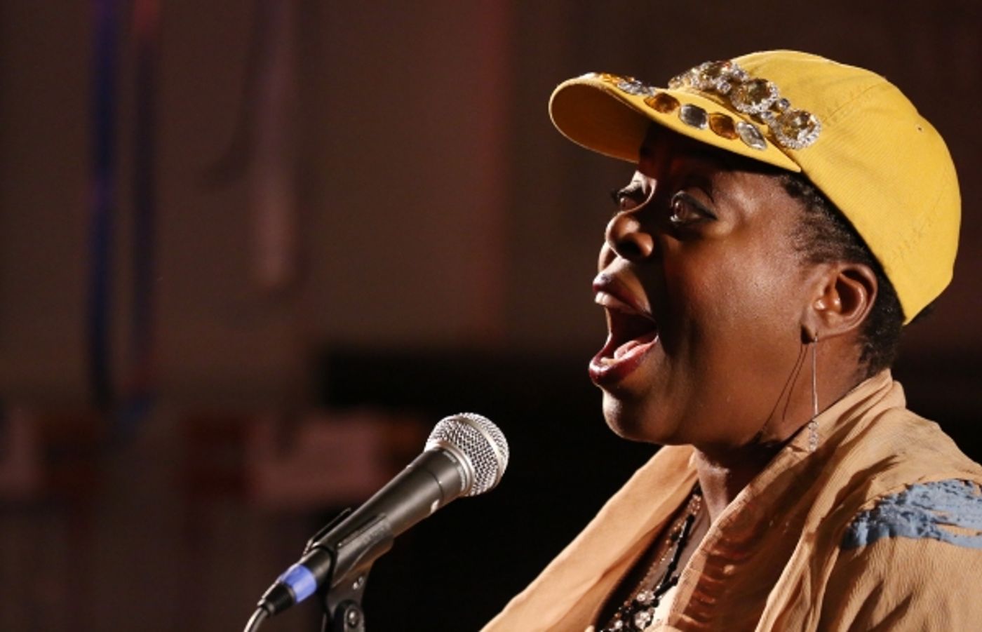 Photo Coverage: Inside 5th Annual BROADWAY SALUTES with Hugh Panaro, Annaleigh Ashford & Lillias White!  Image