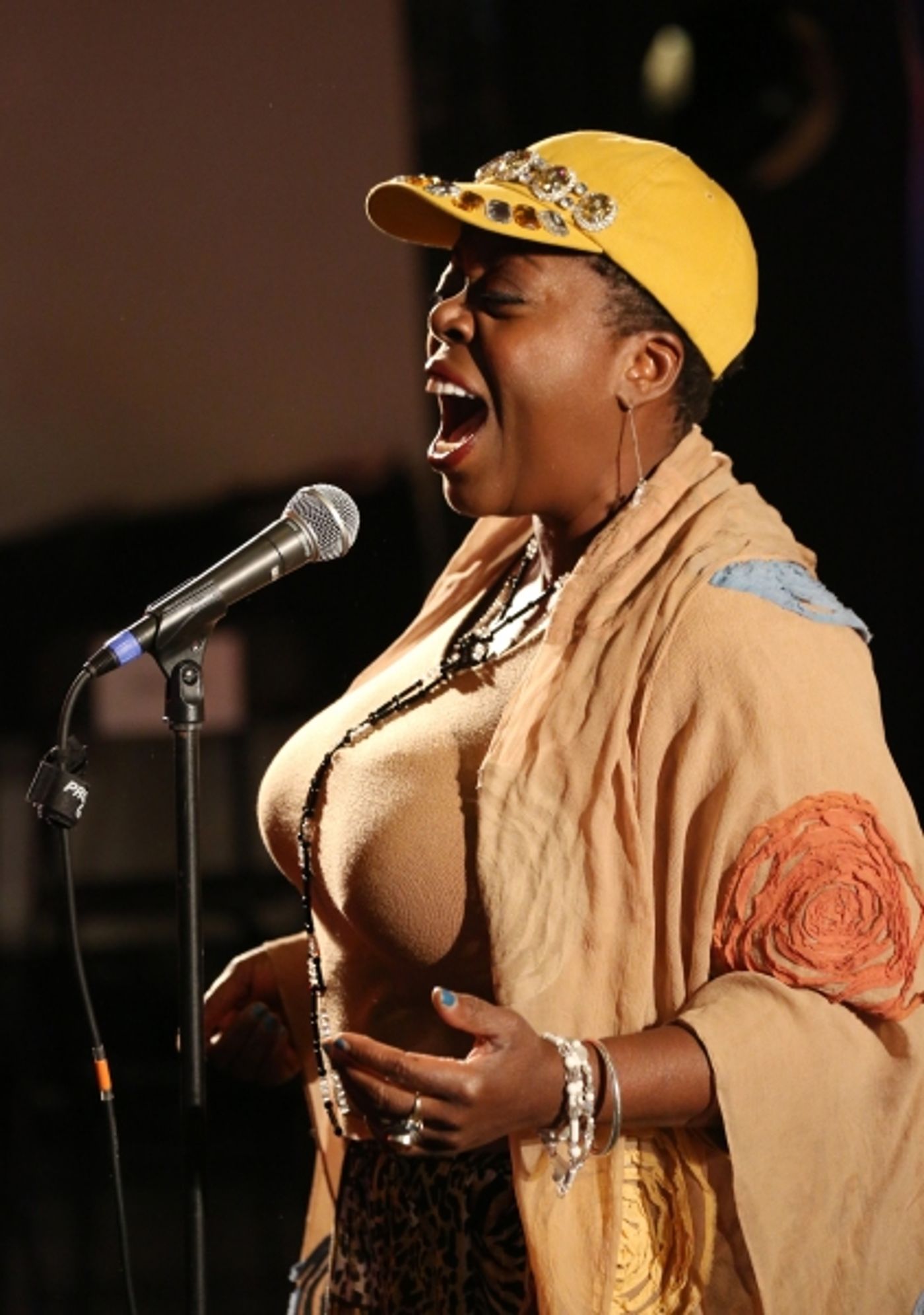 Photo Coverage: Inside 5th Annual BROADWAY SALUTES with Hugh Panaro, Annaleigh Ashford & Lillias White!  Image