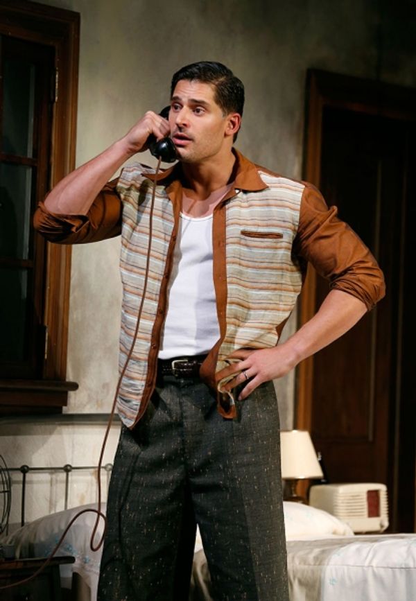 Joe Manganiello Photo