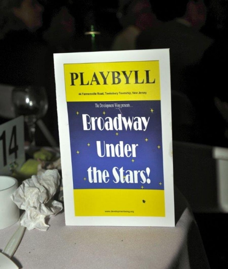 Photo Flash: The Development Wing Hosts 4th Annual BROADWAY UNDER THE STARS Gala Image