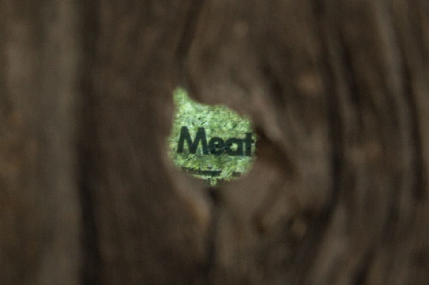 Photo Flash: LAND|SLIDE: Possible Futures, Now Open at Markham Museum  Image