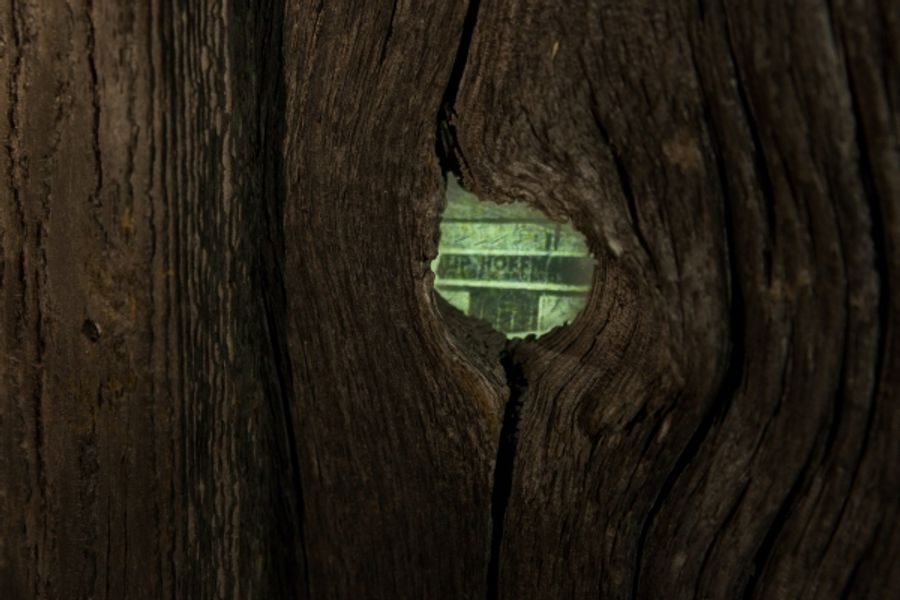 Photo Flash: LAND|SLIDE: Possible Futures, Now Open at Markham Museum Image