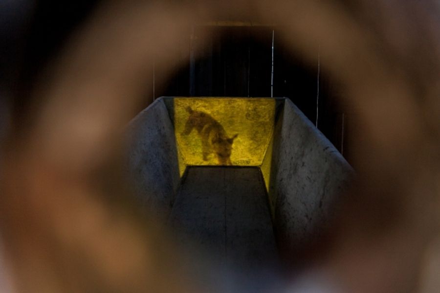 Photo Flash: LAND|SLIDE: Possible Futures, Now Open at Markham Museum Image