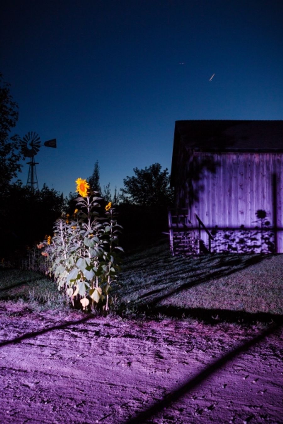 Photo Flash: LAND|SLIDE: Possible Futures, Now Open at Markham Museum Image