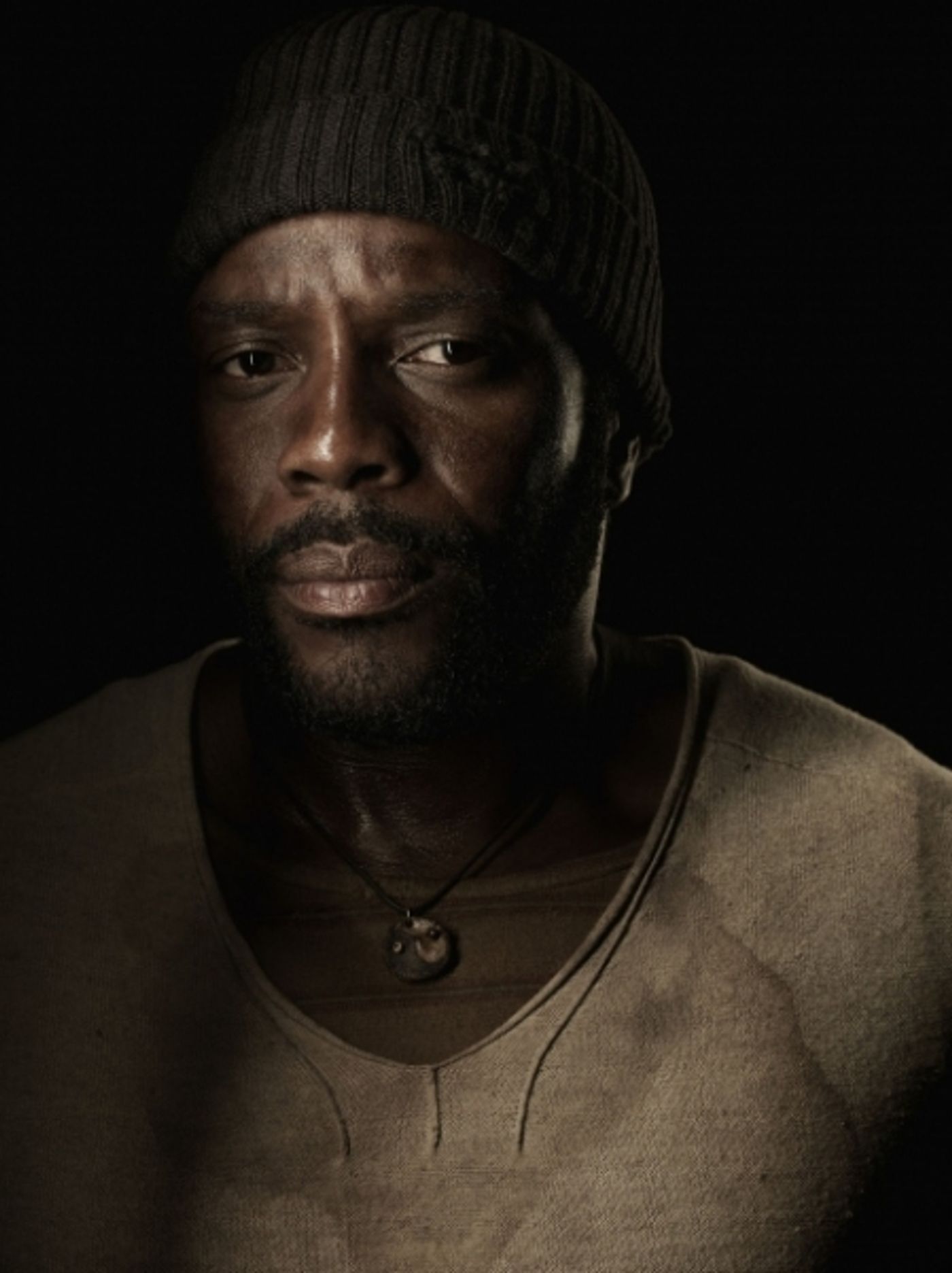 Photo Flash: New Promo Posters for THE WALKING DEAD Season 4 Image