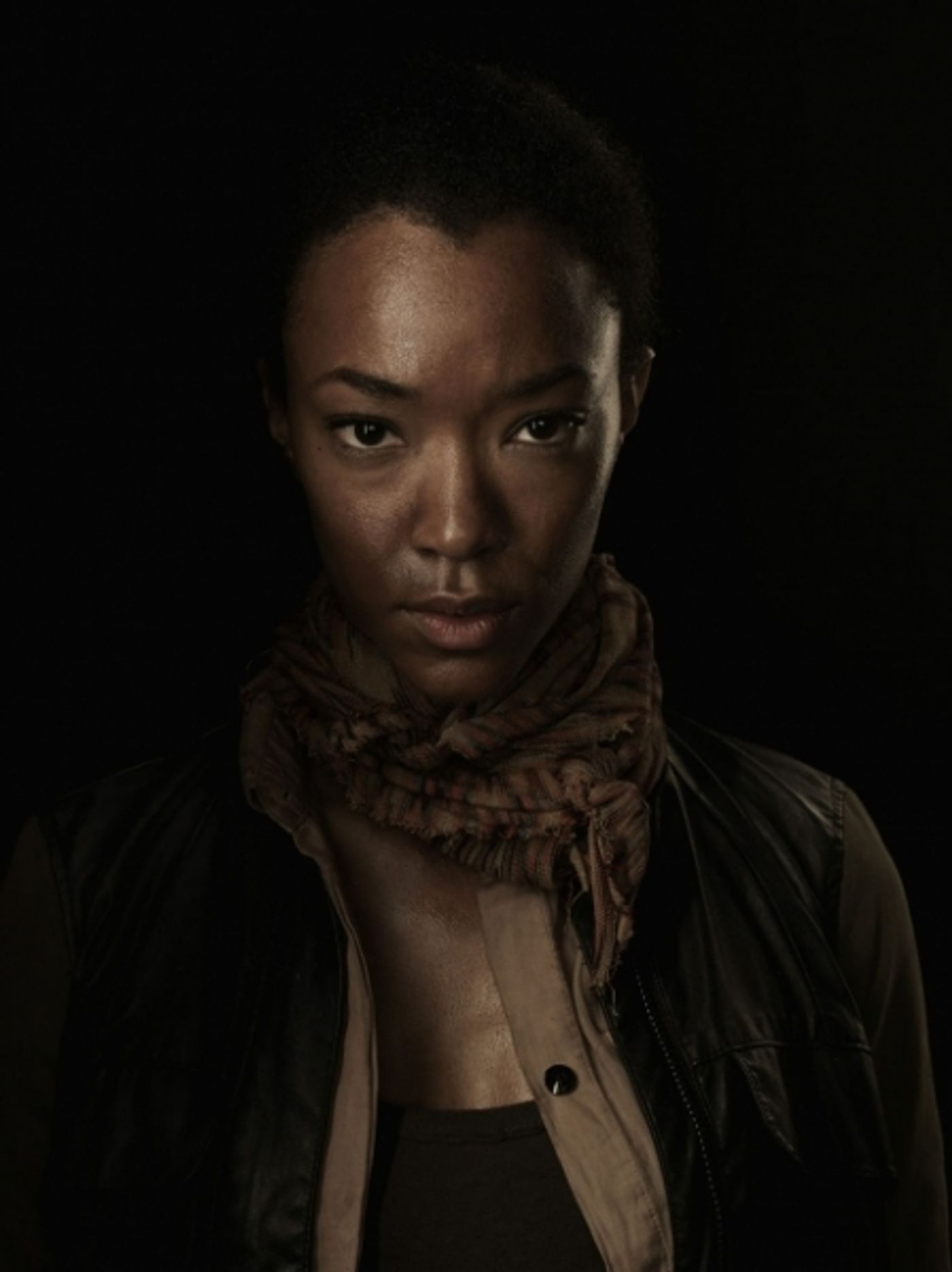 Photo Flash: New Promo Posters for THE WALKING DEAD Season 4 Image