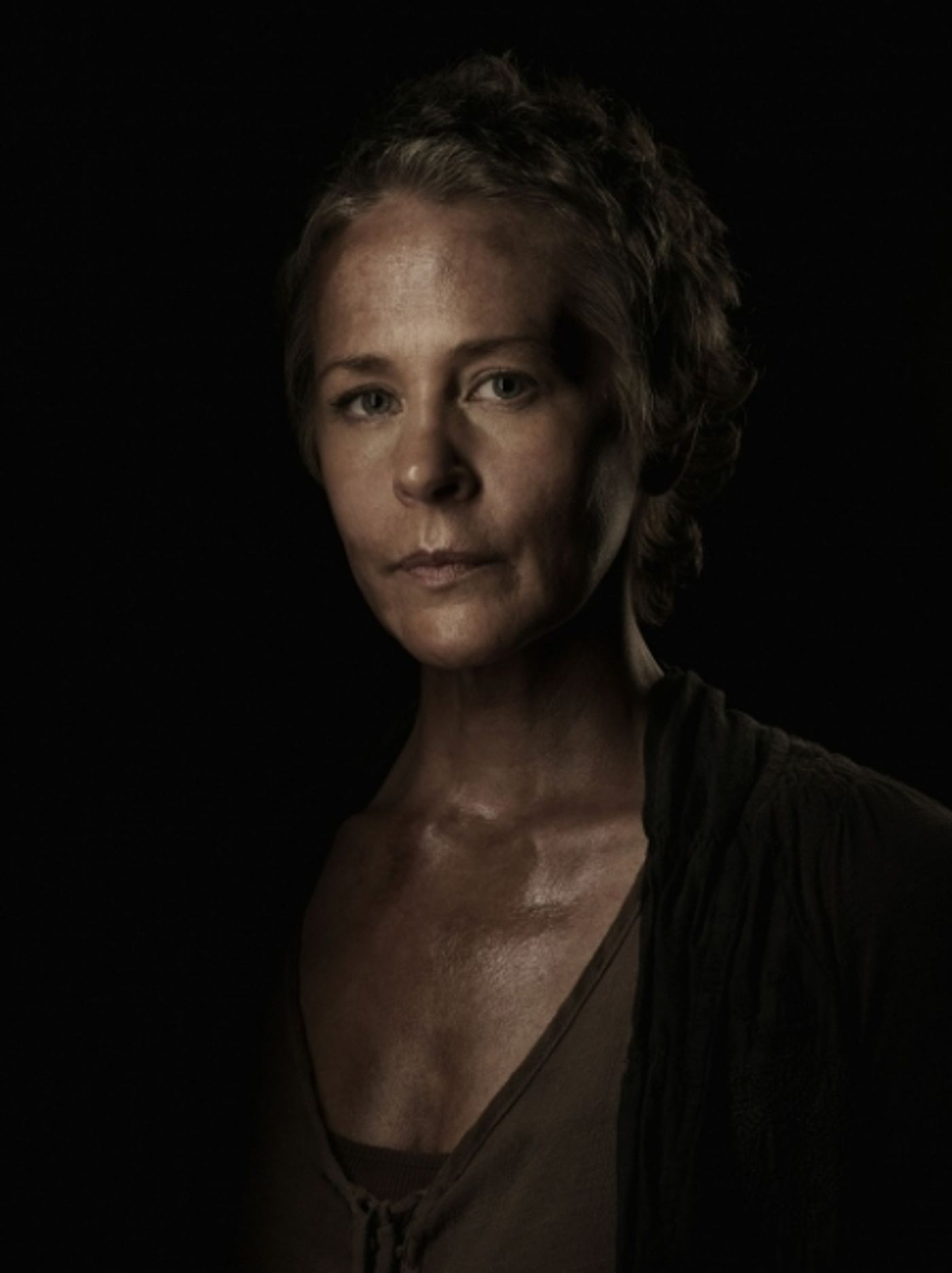 Photo Flash: New Promo Posters for THE WALKING DEAD Season 4 Image