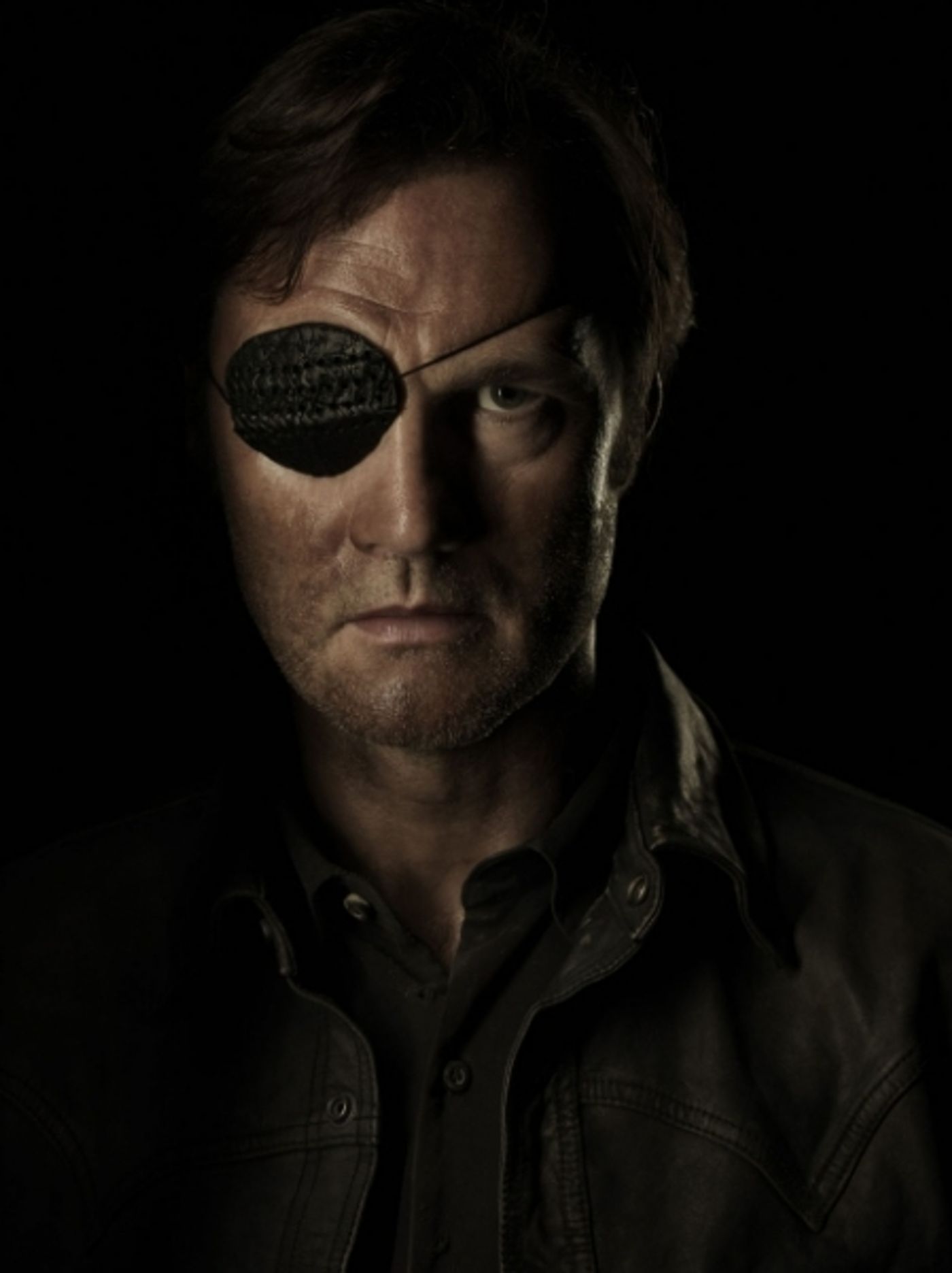 Photo Flash: New Promo Posters for THE WALKING DEAD Season 4 Image