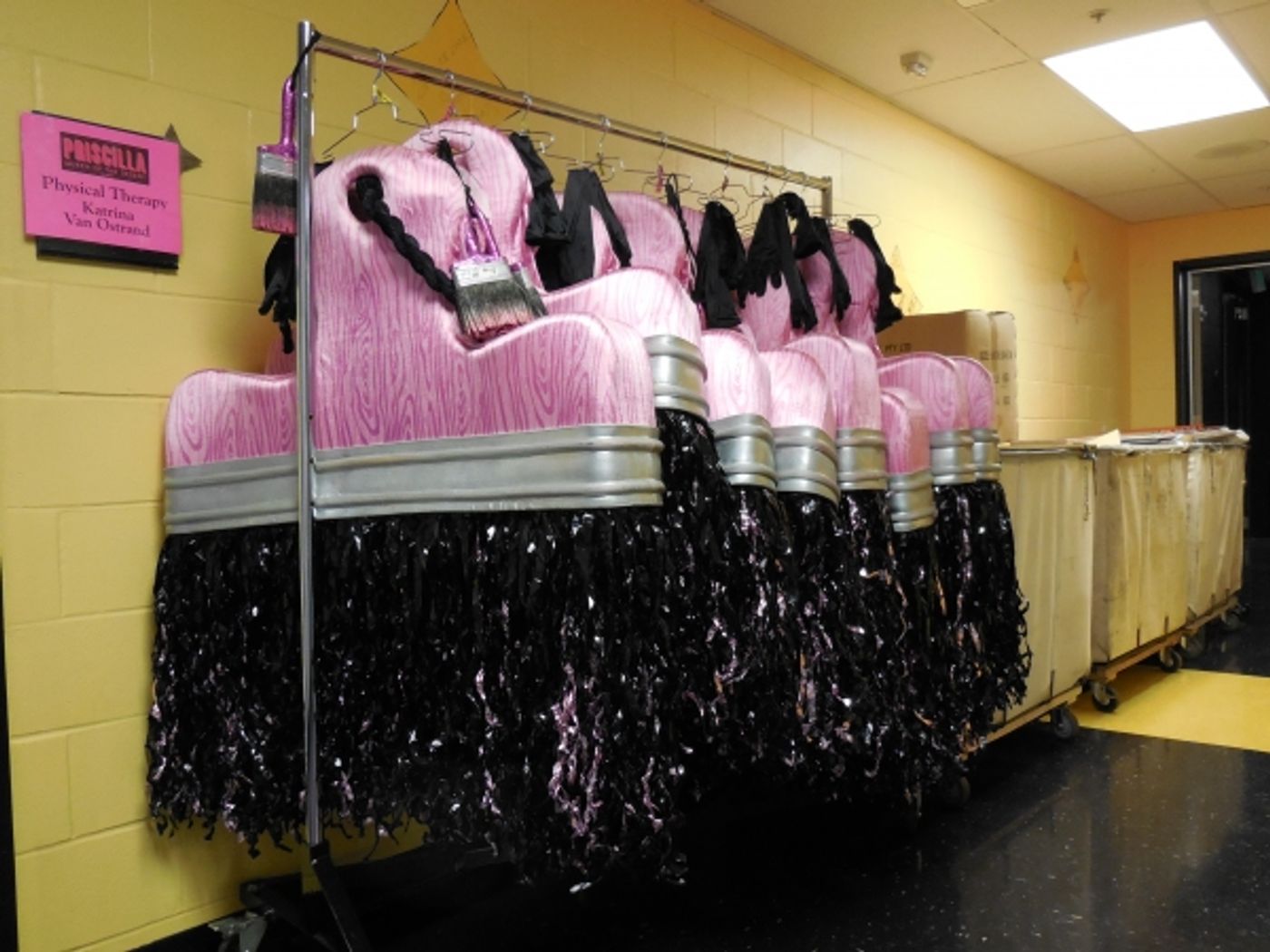 Photo Flash: First Looks at PRISCILLA, QUEEN OF THE DESERT: THE MUSICAL Tour Stop at TUTS Image