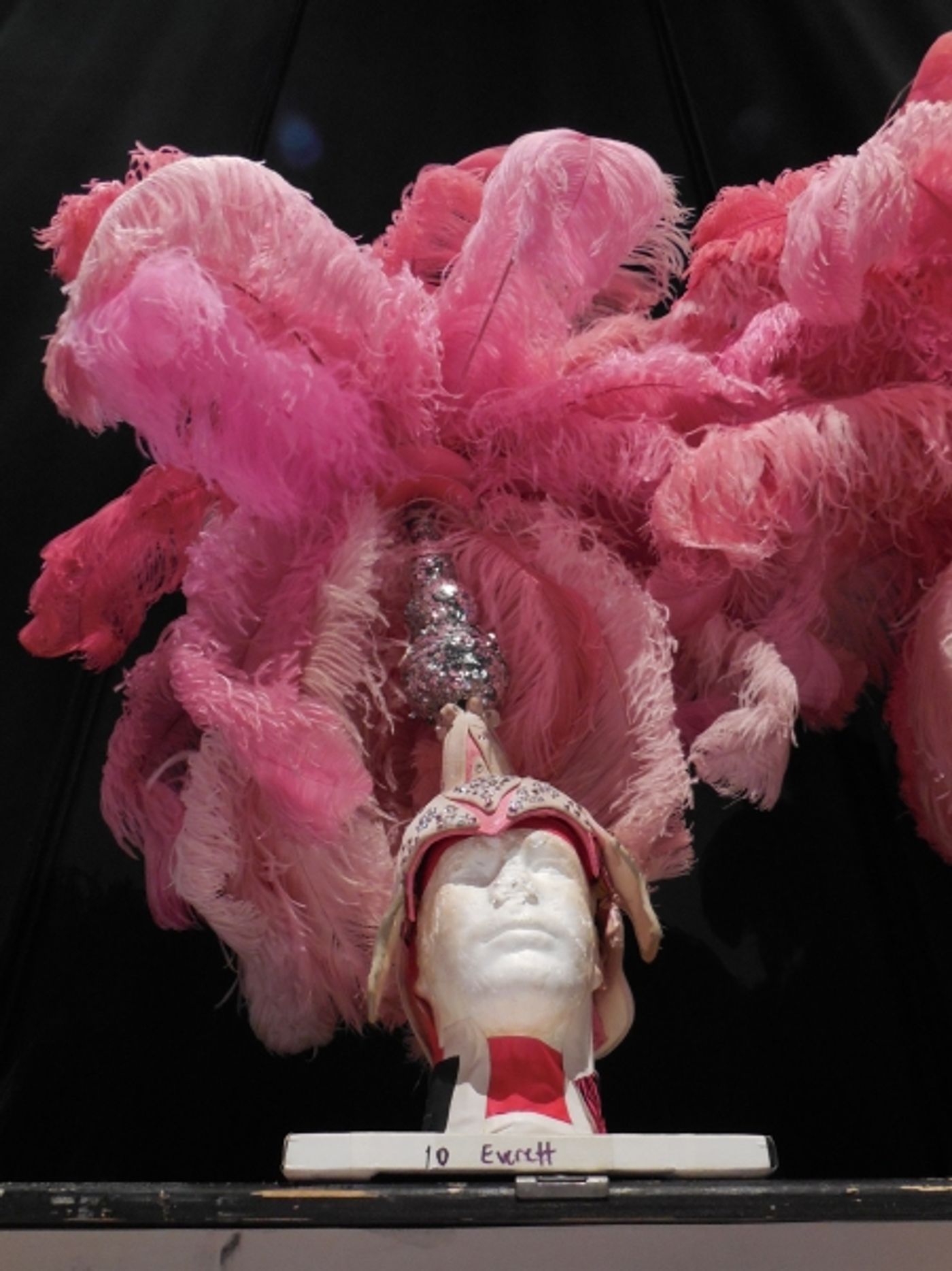 Photo Flash: First Looks at PRISCILLA, QUEEN OF THE DESERT: THE MUSICAL Tour Stop at TUTS Image