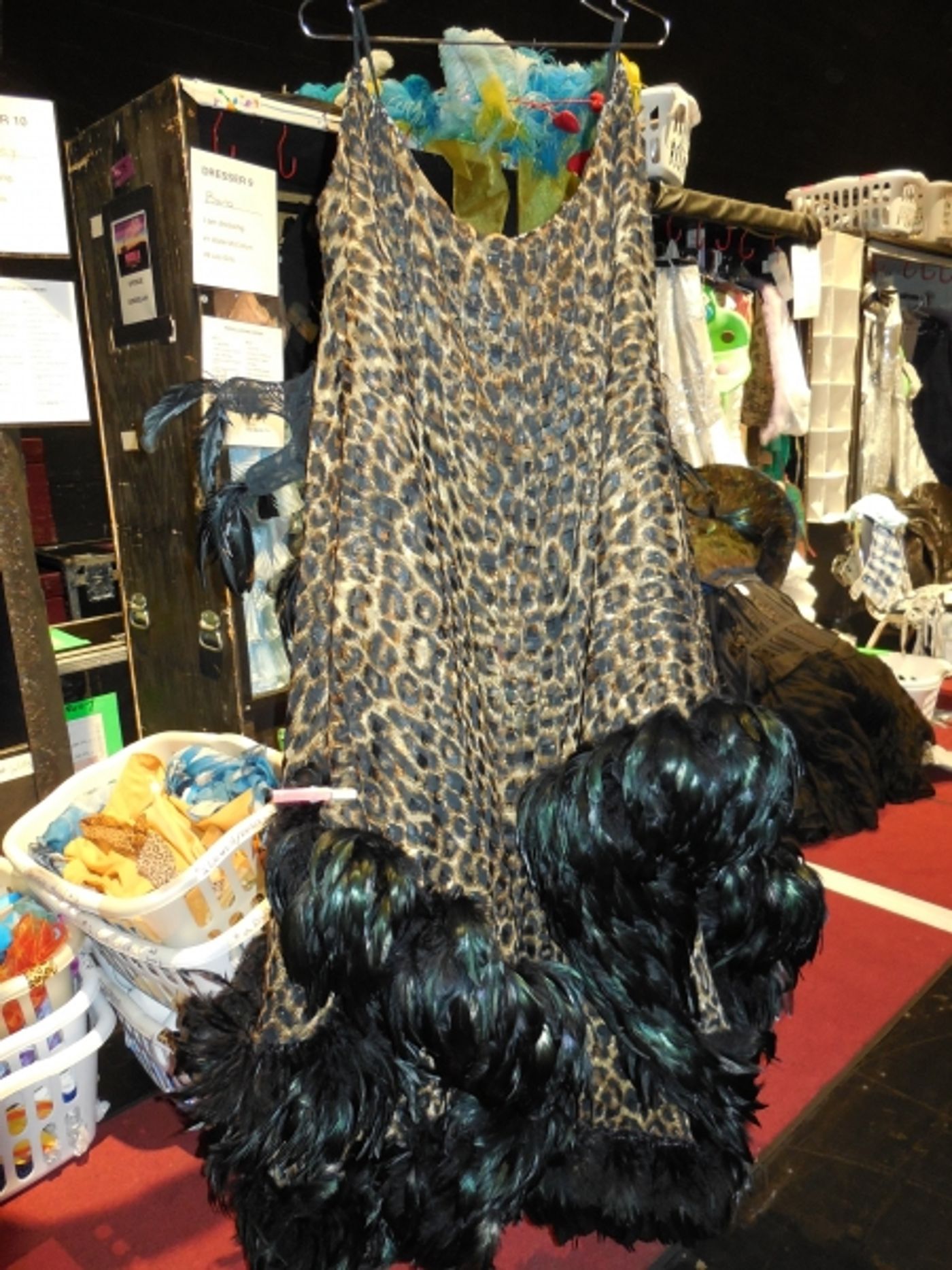 Photo Flash: First Looks at PRISCILLA, QUEEN OF THE DESERT: THE MUSICAL Tour Stop at TUTS Image