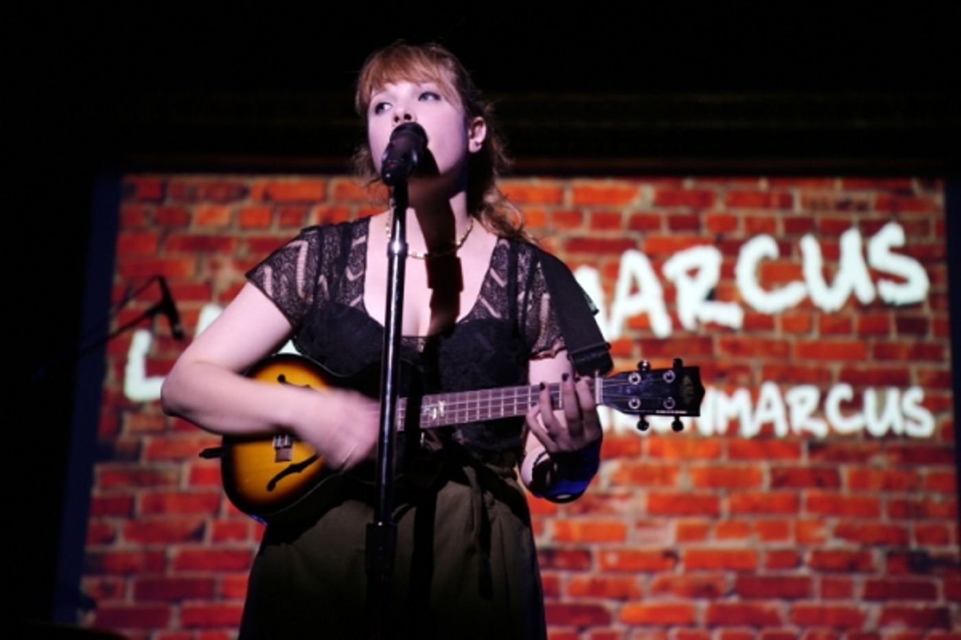 Photo Flash: Rebecca Naomi Jones, Shaina Taub and More Join Ashkon in HERE IN THE DARK at The Cutting Room  Image