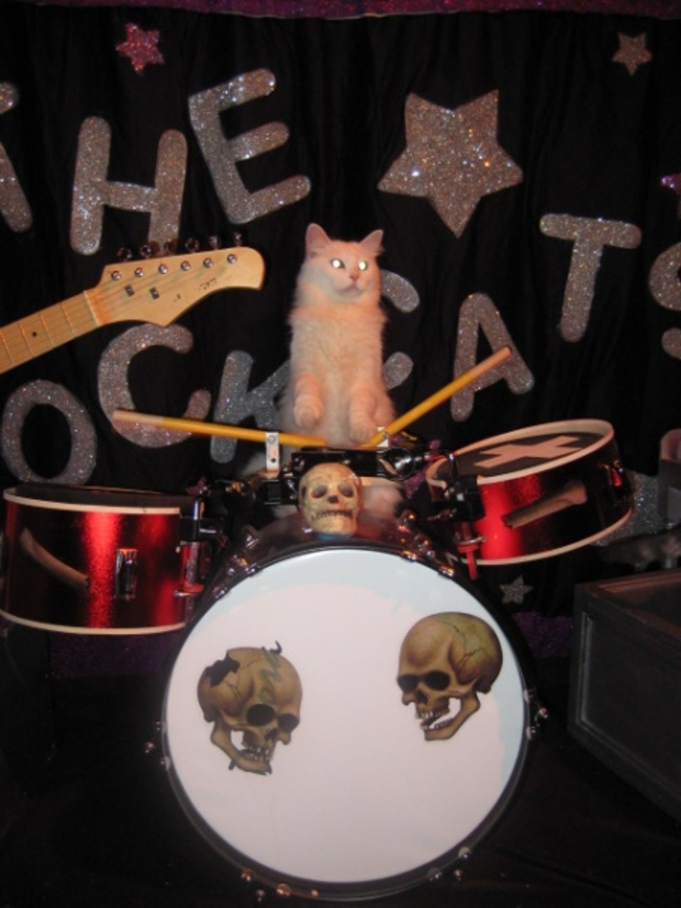 Photo Flash: The Amazing Acro-Cats to Come to Stage West Theater, 10/17-18  Image