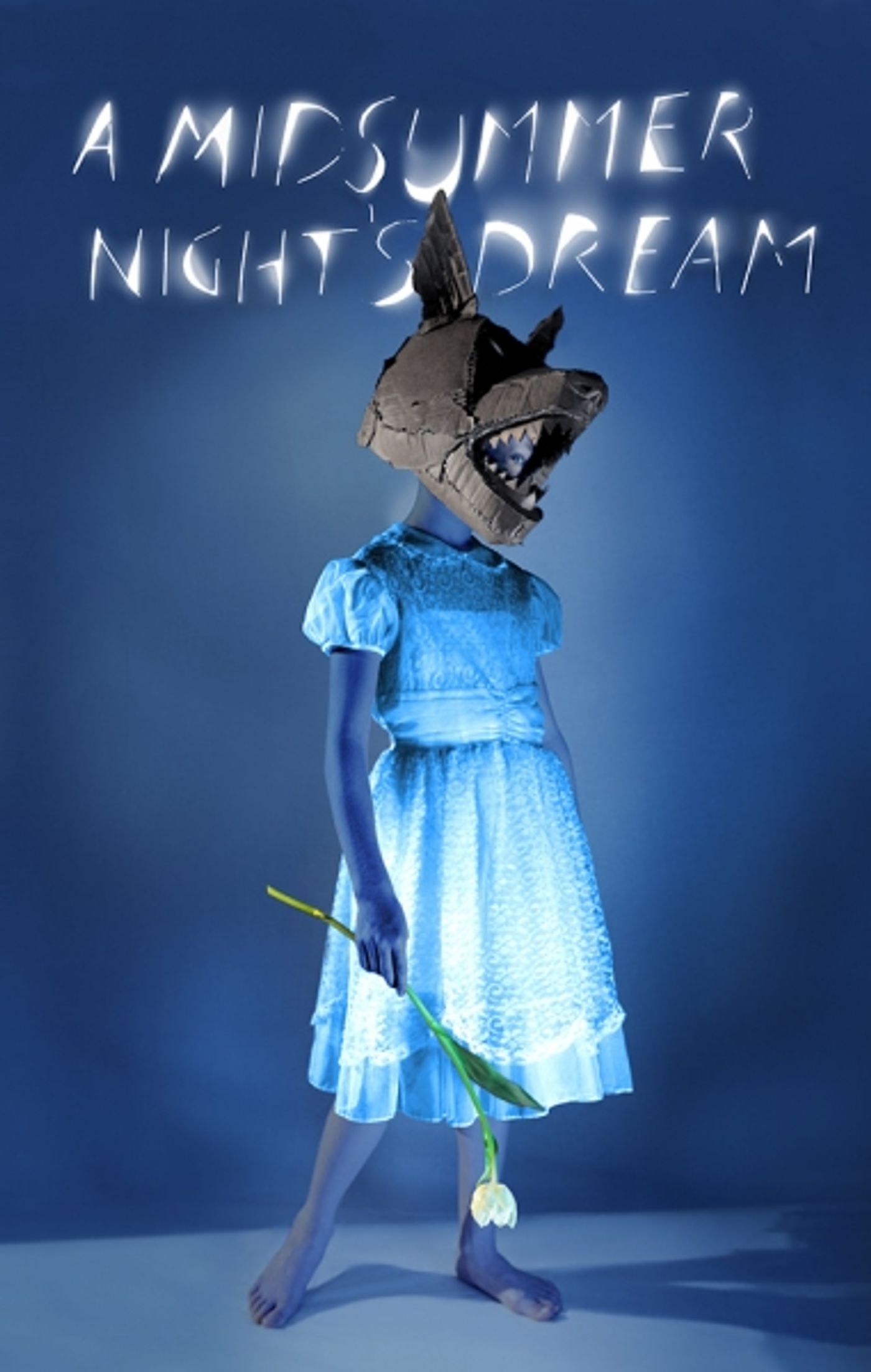 Photo Flash: Artwork Released for Julie Taymor's A MIDSUMMER NIGHT'S DREAM at Polonsky Shakespeare Center  Image