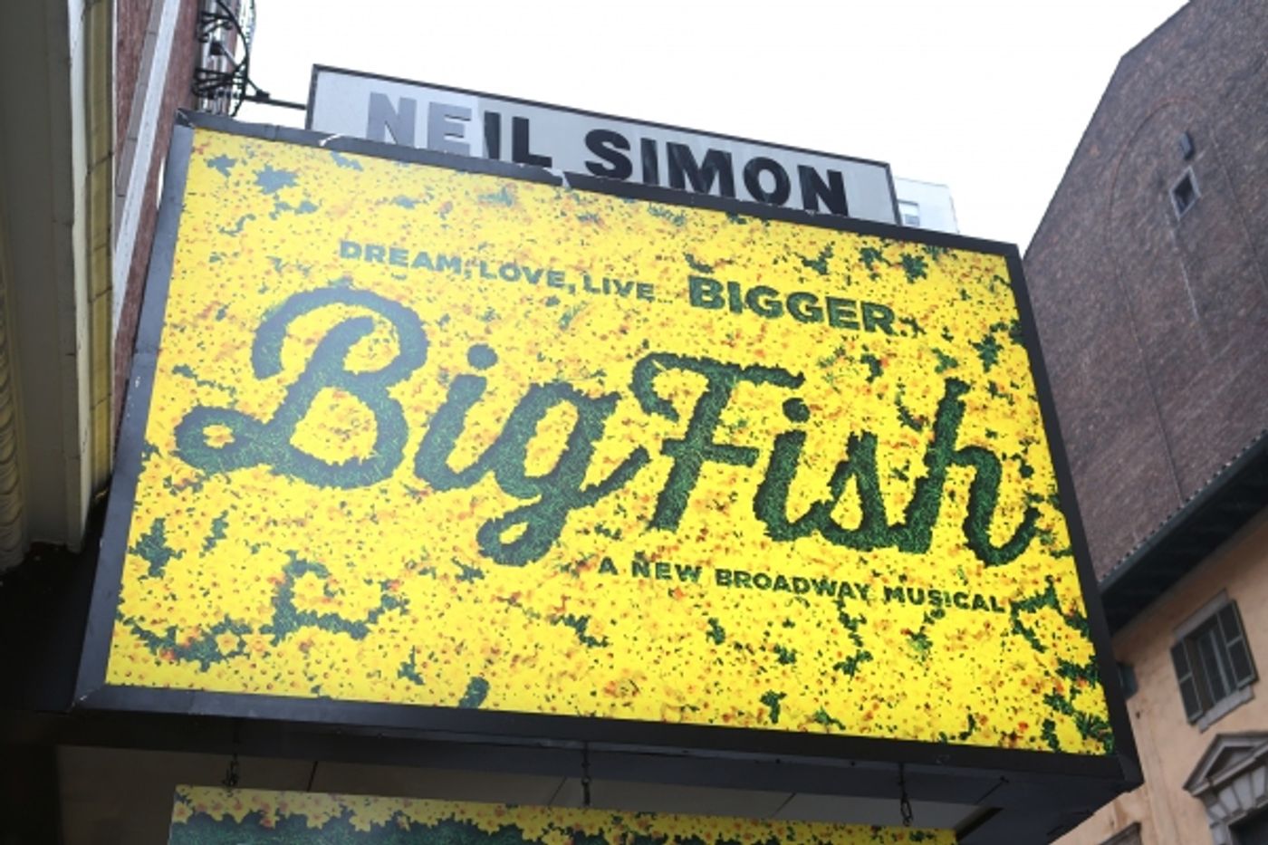 Photo Coverage: BIG FISH's Angie Schworer Receives Gypsy Robe!  Image