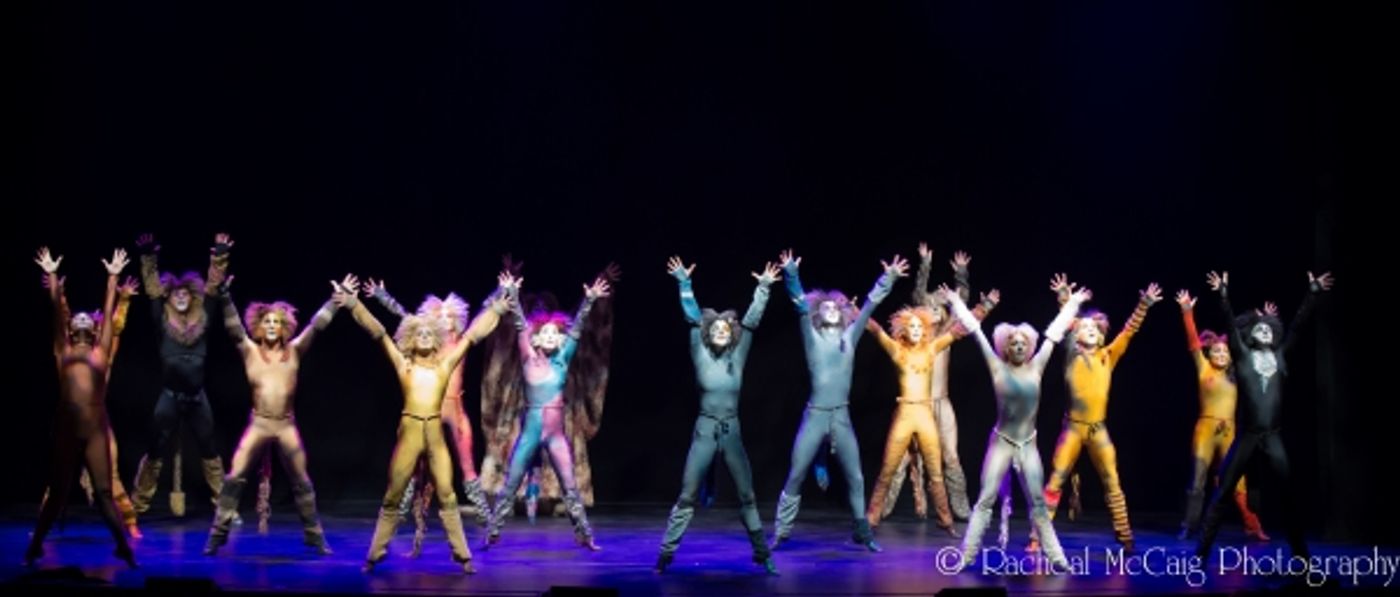 Photo Coverage: Elgin & Winter Garden's 100th Chandelier Gala  Image