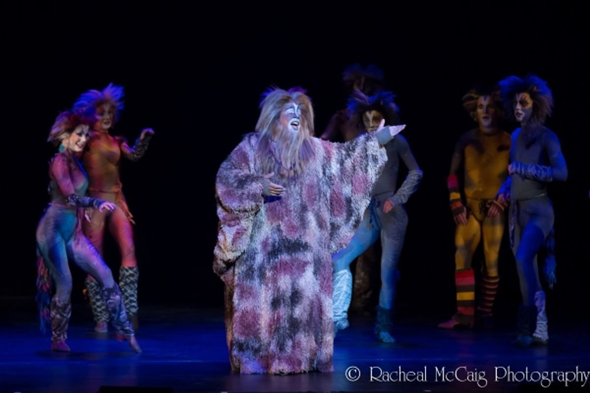 Charles Azulay and the Canadian Company of CATS at 