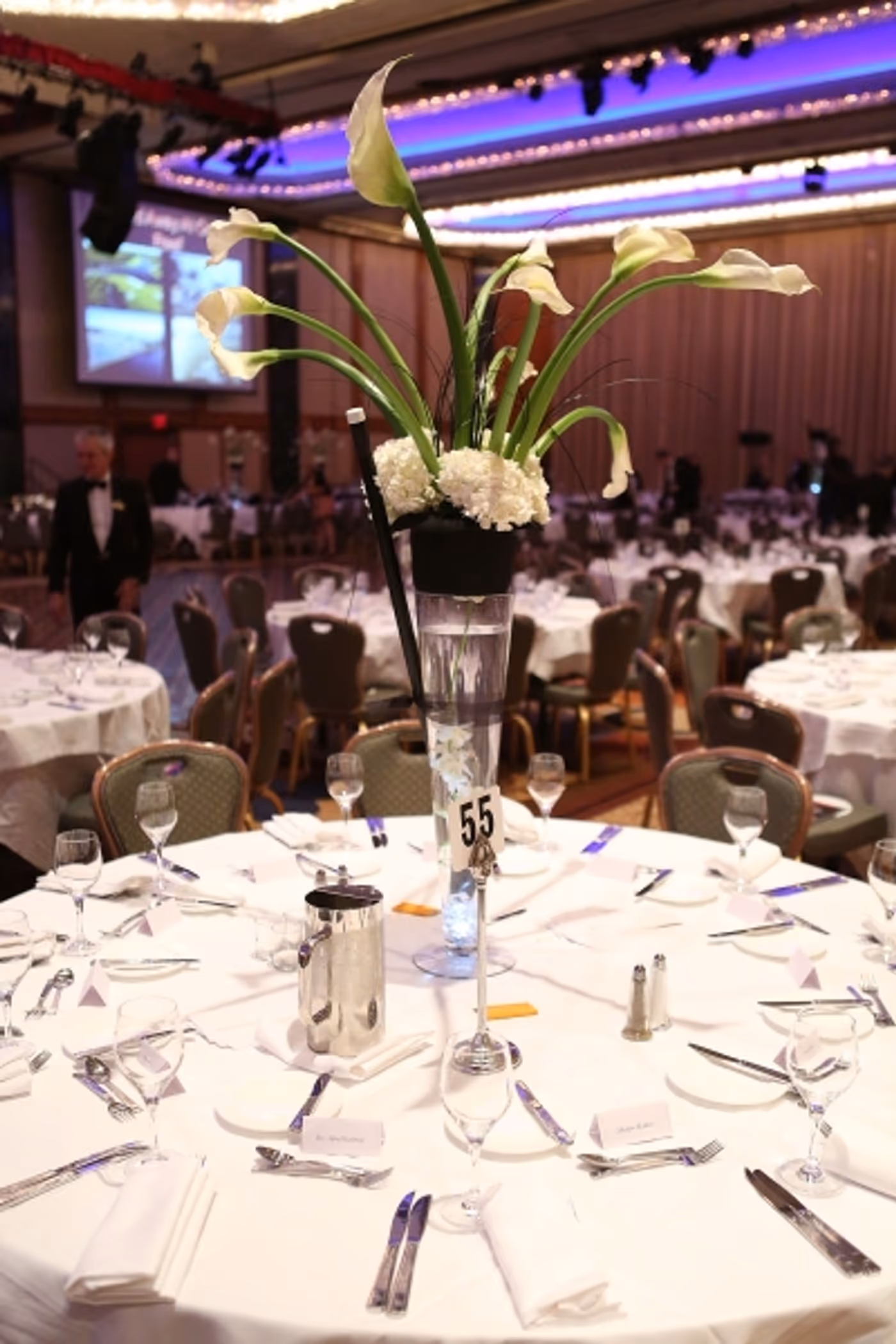 Photo Coverage: Ann-Margret Honored at Career Transition For Dancers' BROADWAY & BEYOND Gala Image