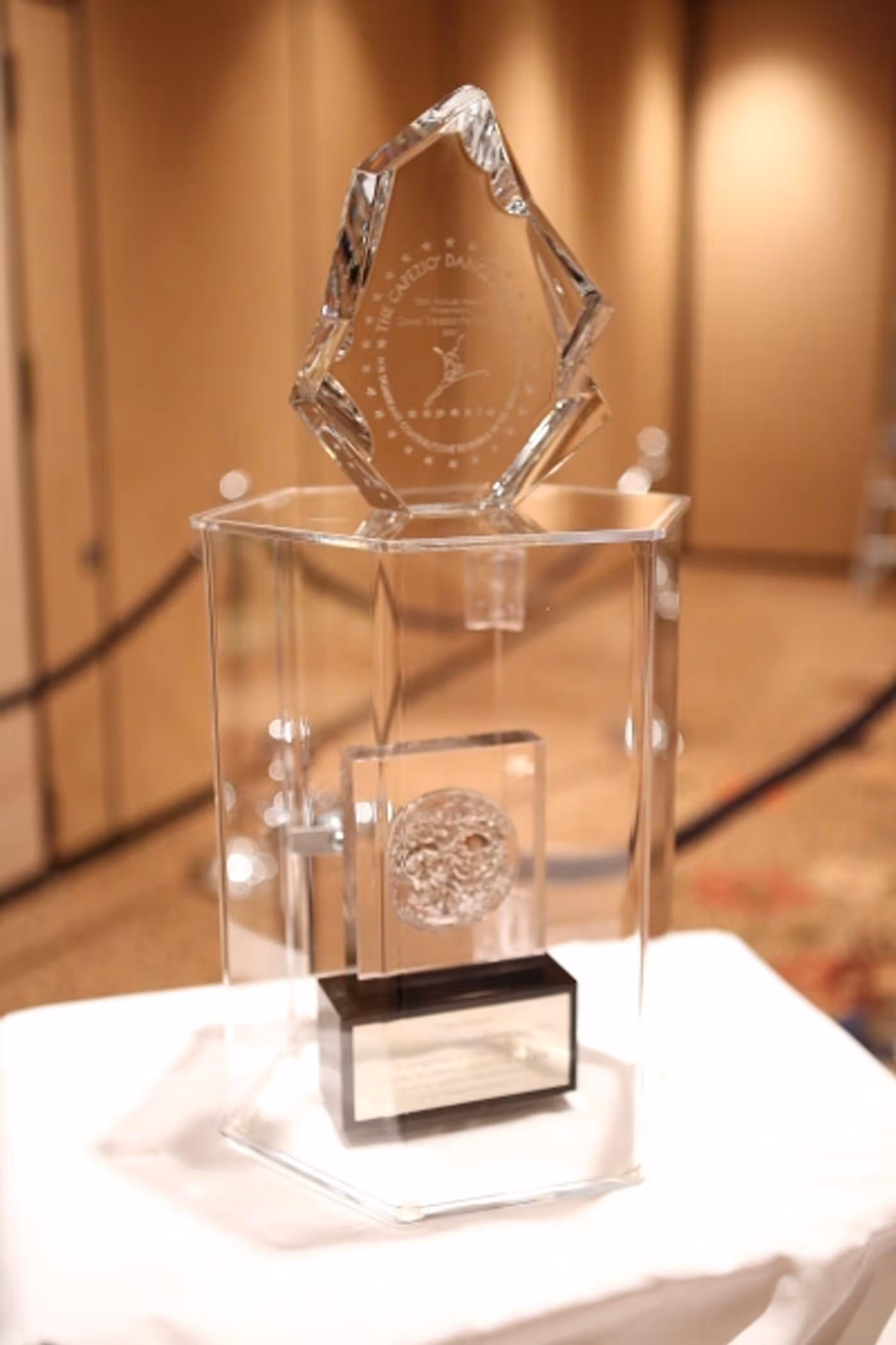 Photo Coverage: Ann-Margret Honored at Career Transition For Dancers' BROADWAY & BEYOND Gala Image