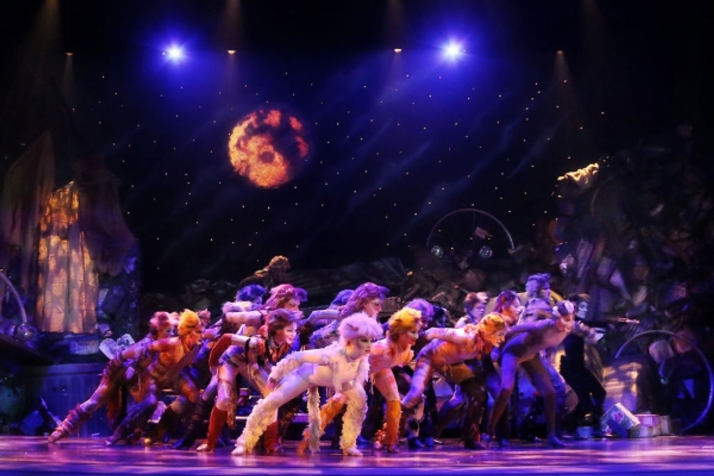 Photo Flash: First Look at Kenneth Prymus, Jennifer Shrader and More in NCT's CATS  Image