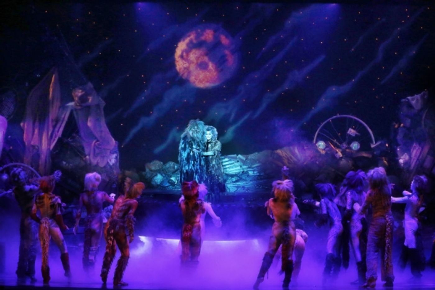 Photo Flash: First Look at Kenneth Prymus, Jennifer Shrader and More in NCT's CATS  Image