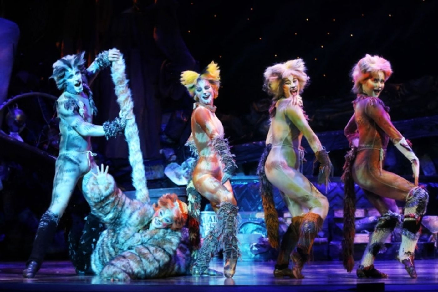 Photo Flash: First Look at Kenneth Prymus, Jennifer Shrader and More in NCT's CATS  Image