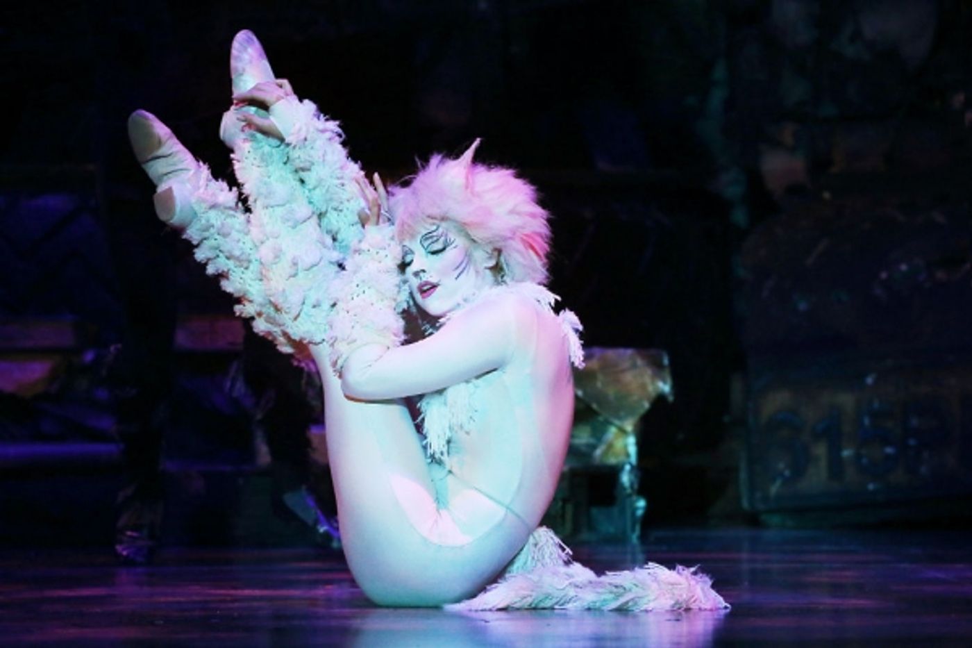 Photo Flash: First Look at Kenneth Prymus, Jennifer Shrader and More in NCT's CATS  Image