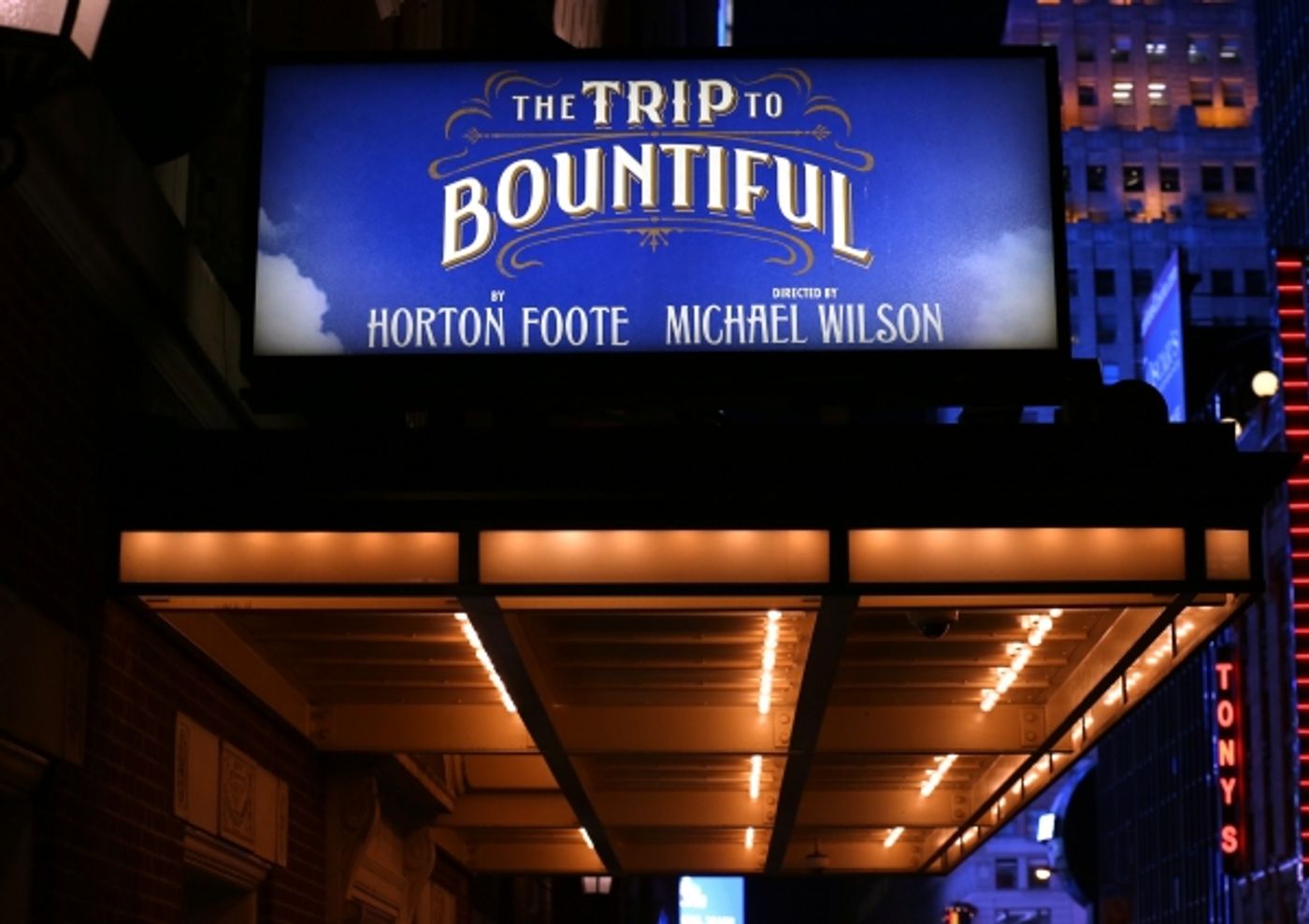 Photo Coverage: Cicely Tyson & THE TRIP TO BOUNTIFUL Cast Take Final Bow on Broadway  Image