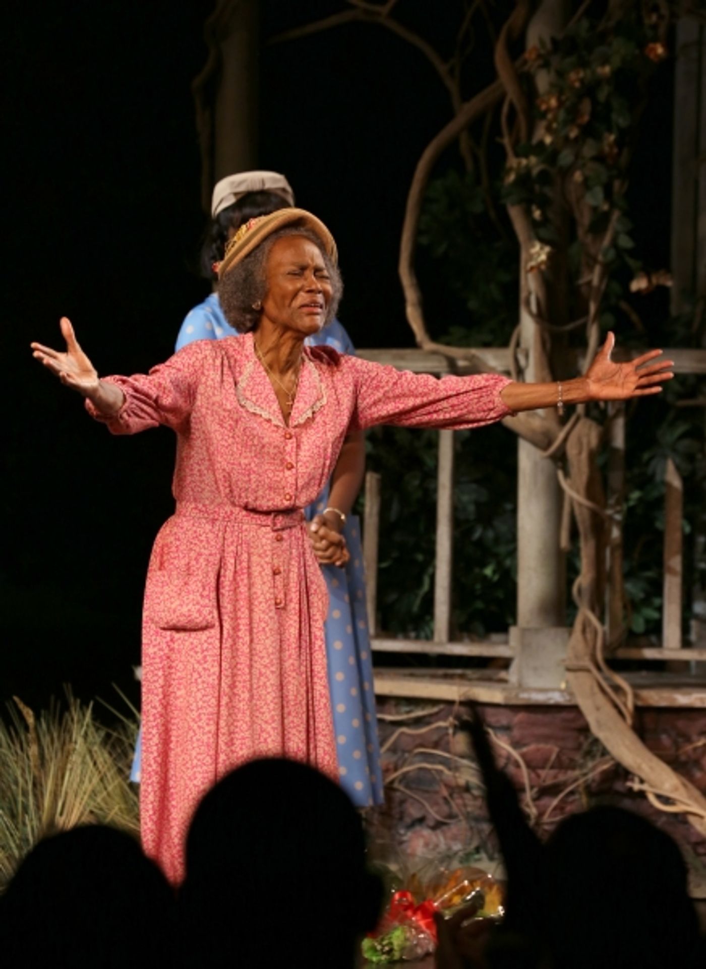 Photo Coverage: Cicely Tyson & THE TRIP TO BOUNTIFUL Cast Take Final Bow on Broadway  Image