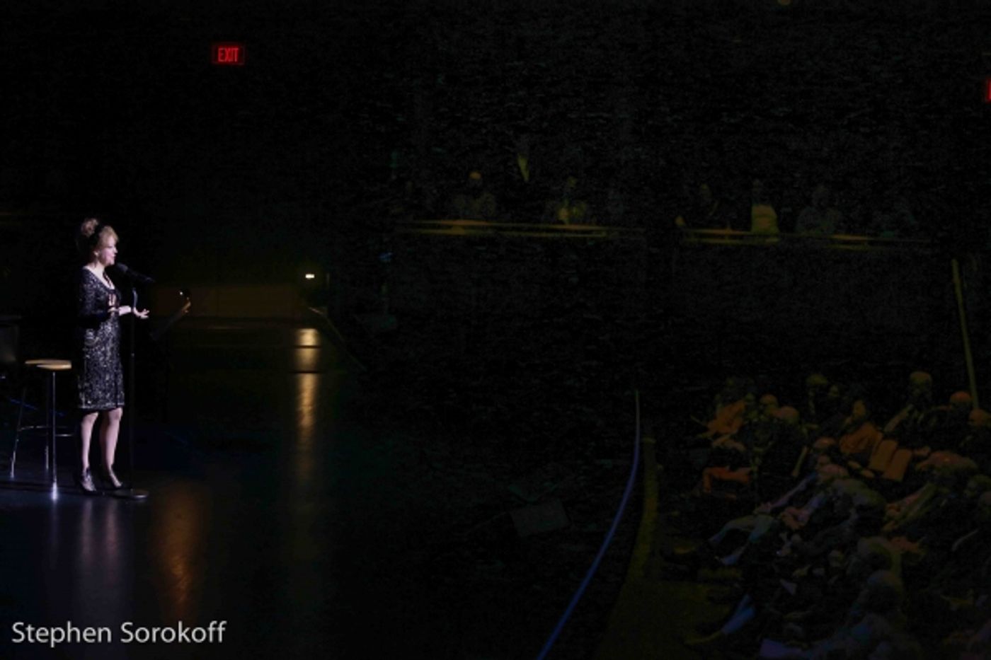 Photo Coverage: Inside FALLING IN LOVE WITH LOVE at the 24th New York Cabaret Convention  Image