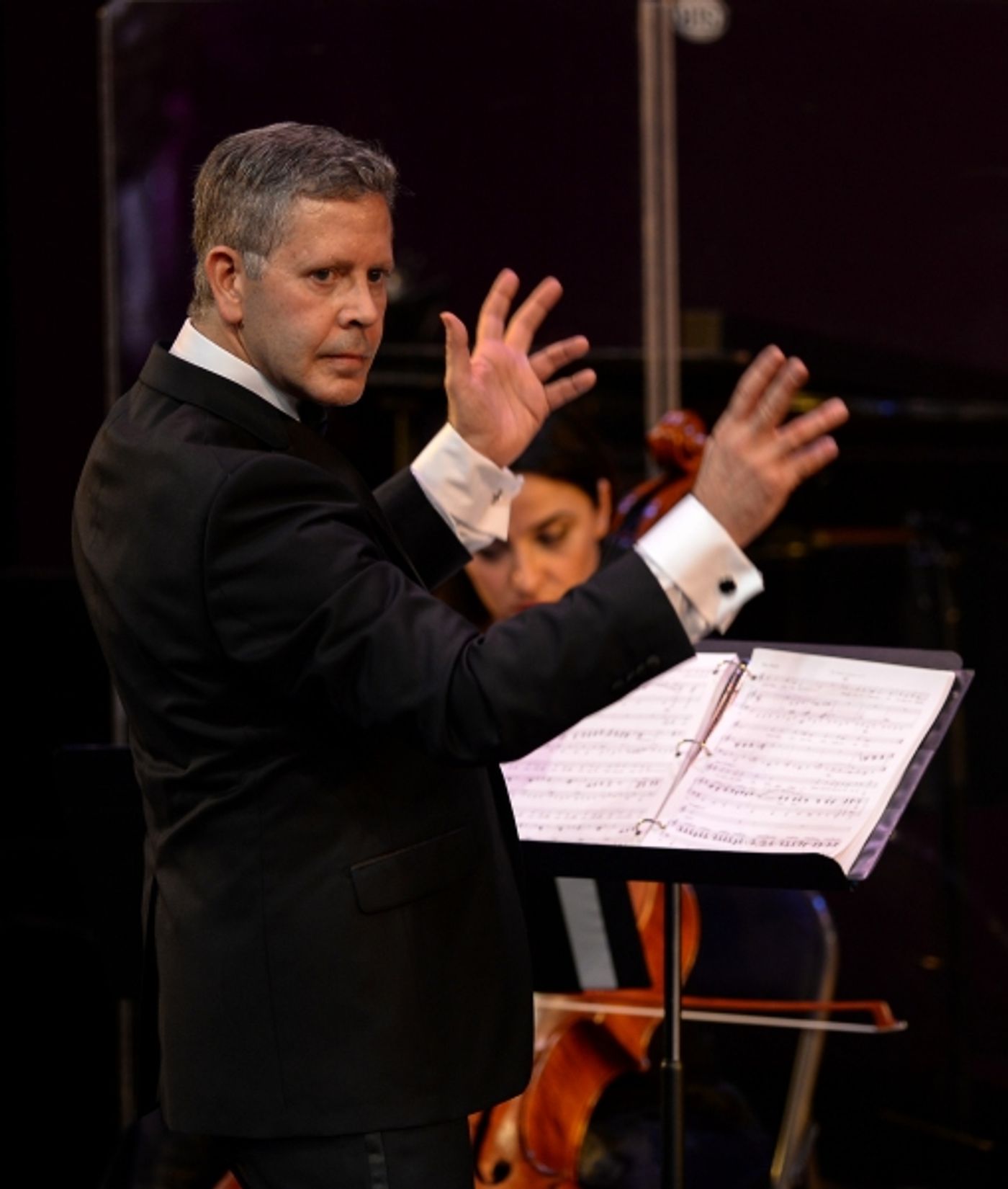 Photo Flash: Nora Mae Lyng, Tari Kelly, David Elder and More in AMERICAN SHOWSTOPPERS:  An Evening with Richard Rodgers  Image